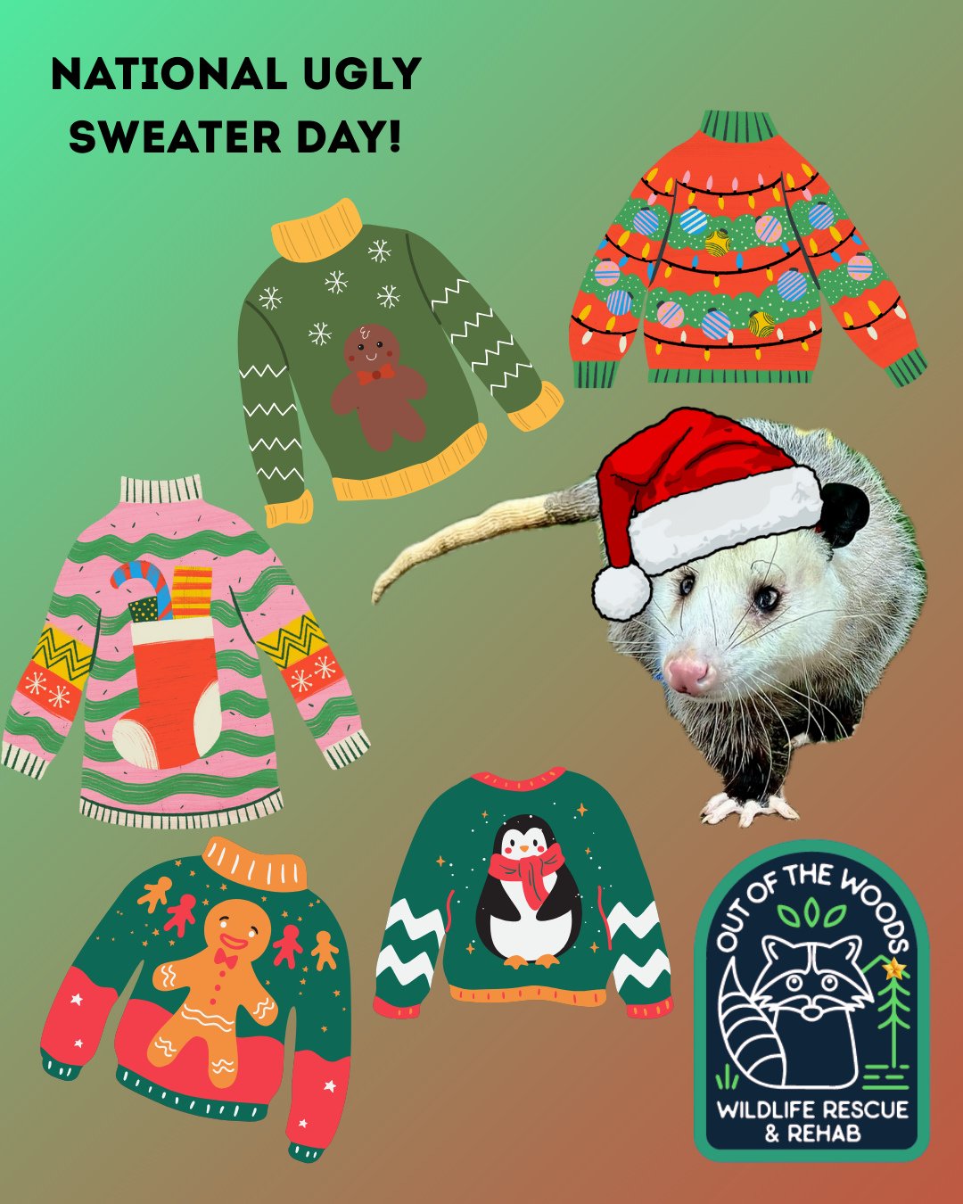 It&rsquo;s National Ugly Sweater Day! Ralph, our non releasable opossum education ambassador, is busy picking out the perfect outfit for his annual ugly sweater party. So many options, so little time! 😆 #ralph #outofthewoodswildlife #tennessee #west