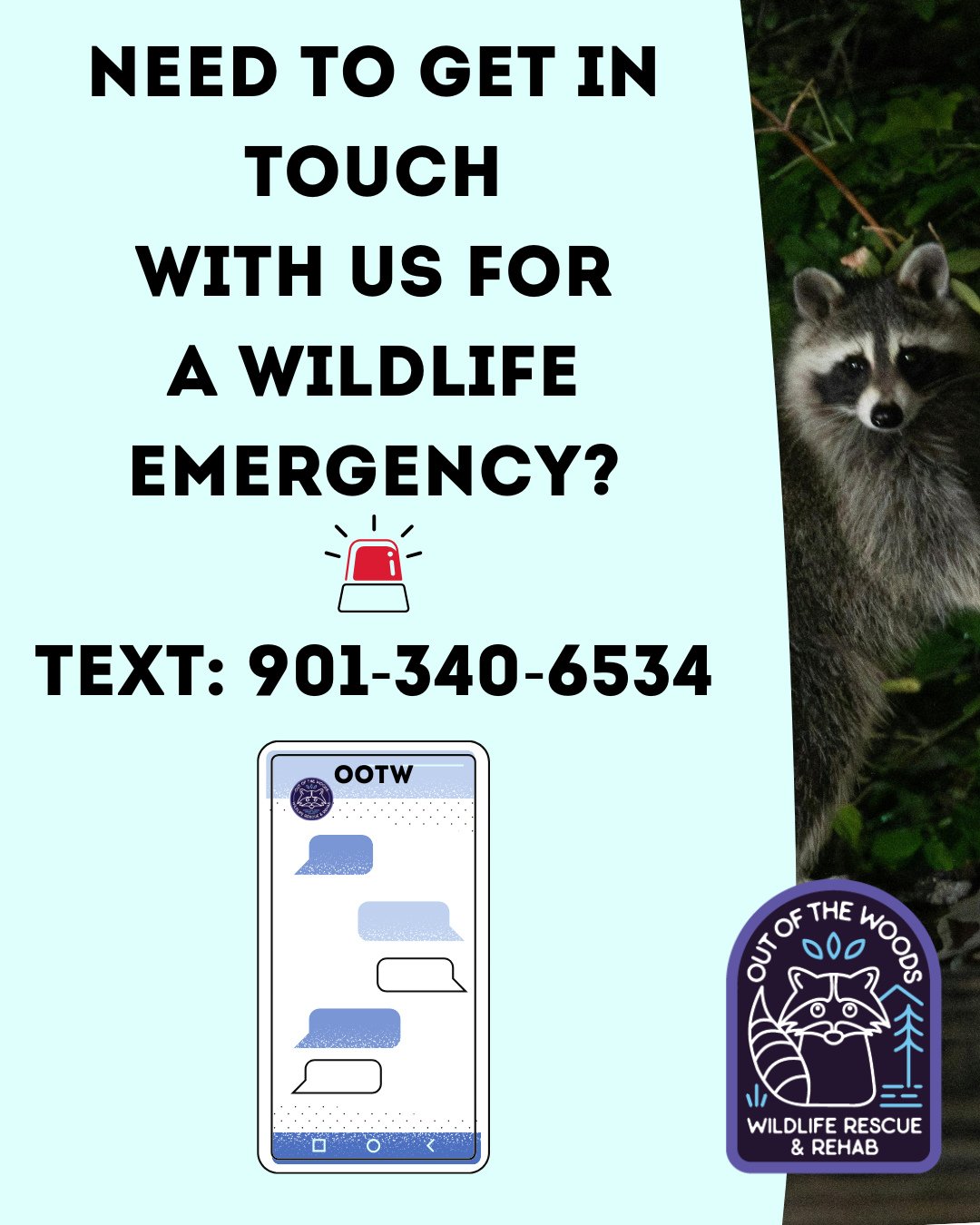 Hi friends! Just a reminder that if you have a wildlife emergency or urgent matter, the best way to reach us is by texting 901-340-6534 ... Thanks for looking out for Tennessee's wildlife! &hearts;️🦝 #outofthewoodswildlife #tennessee #westtennessee 