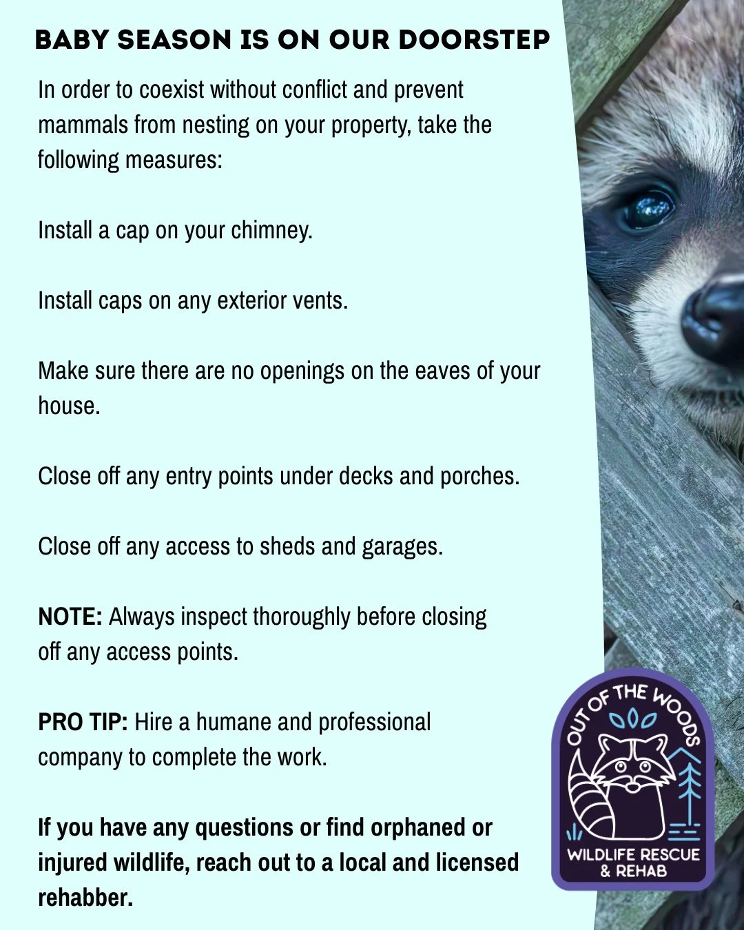 Baby season is on our doorstep! Here are some preventative measures to take regarding securing your home to coexist with wildlife without conflict.

⭐️Install a cap on your chimney.
⭐️Install caps on any exterior vents.
⭐️Make sure there are no openi