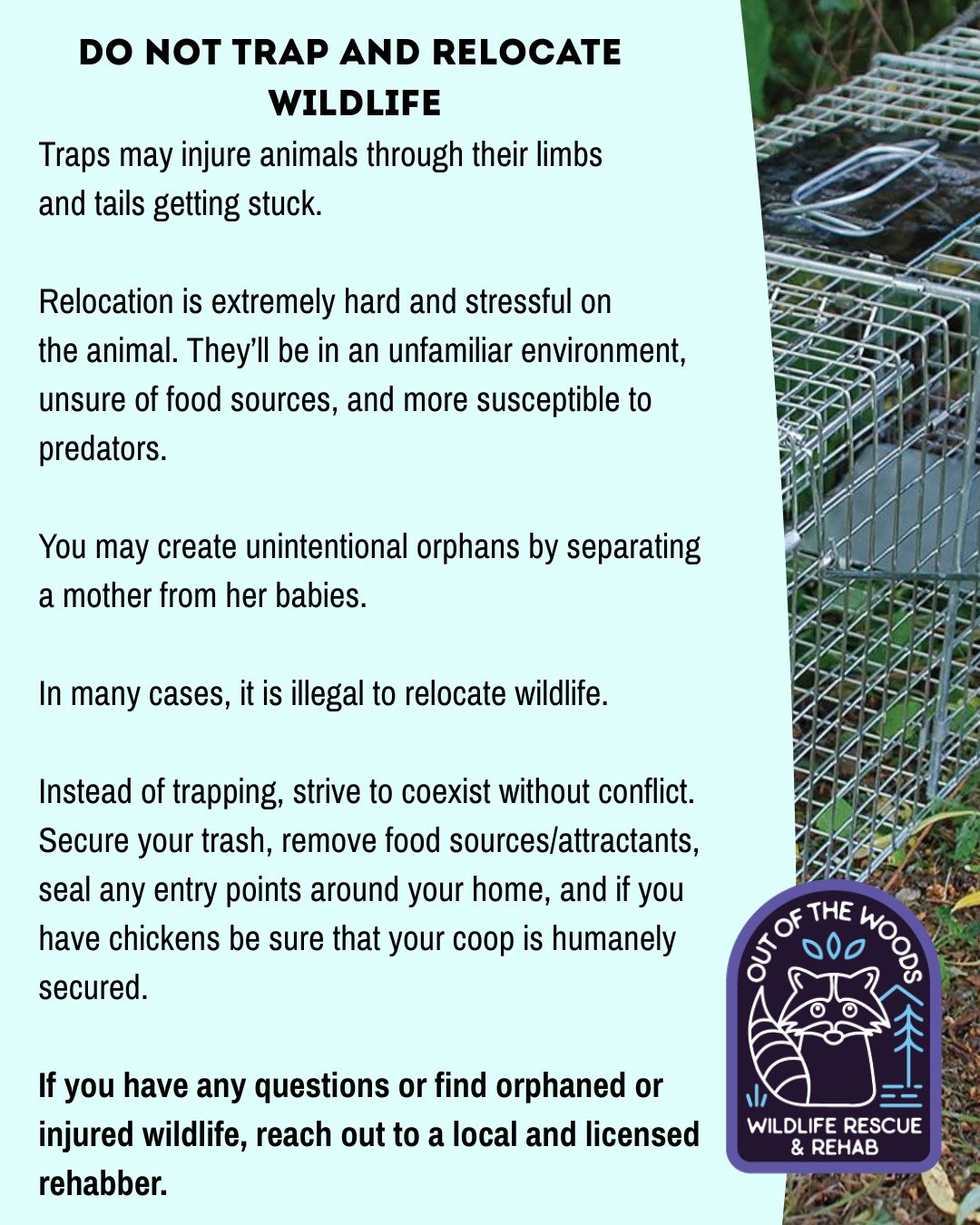 📢 PSA: Do not trap and relocate wildlife! Relocation is extremely hard and stressful on
the animal. They&rsquo;ll be in an unfamiliar environment, unsure of food sources, and more susceptible to predators. You may create unintentional orphans by sep