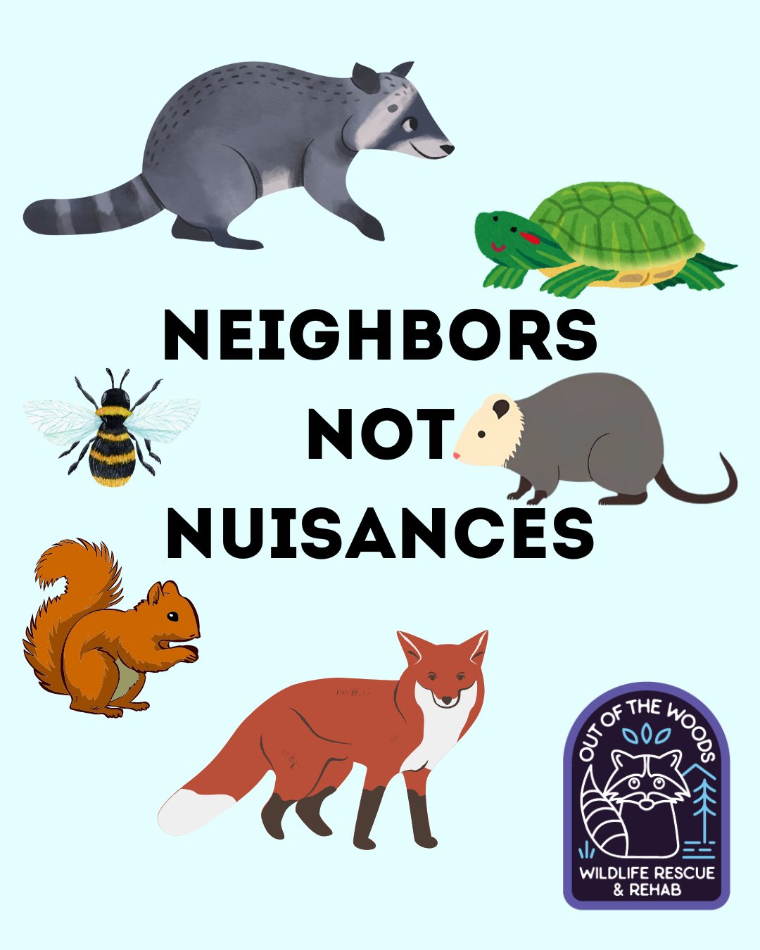 Happy February! As we begin the new month and inch closer to spring, let this simple reminder stay with you when it comes to our wild neighbors! Let&rsquo;s strive to coexist because they are neighbors, not nuisances! 
#wildlifeeducation #wildliferes