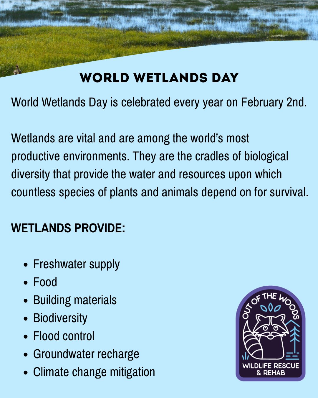 Today is World Wetlands Day, which is celebrated every year on February 2nd. Let&rsquo;s take a moment to appreciate and work to protect these vital components of our ecosystem! #wildlifeeducation #tennessee #westtennessee #outofthewoodswildlife #wor