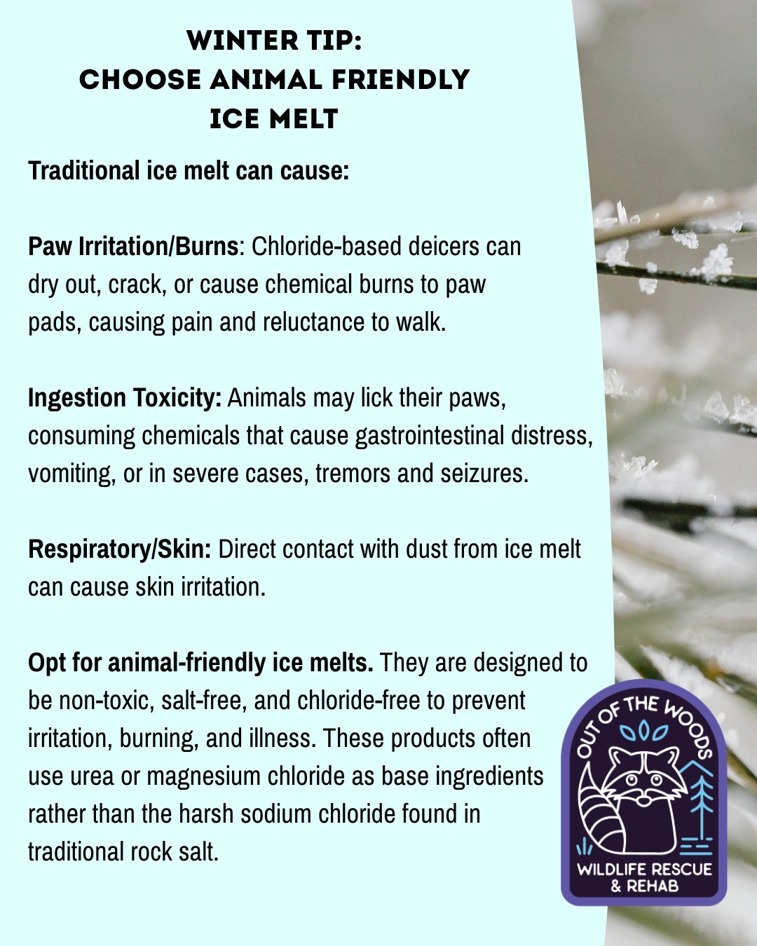 Winter is in full force and choosing an animal friendly ice melt will help us all thaw out as we patiently wait for spring!

Traditional ice melt can cause:

Paw Irritation/Burns: Chloride-based deicers can dry out, crack, or cause chemical burns to 