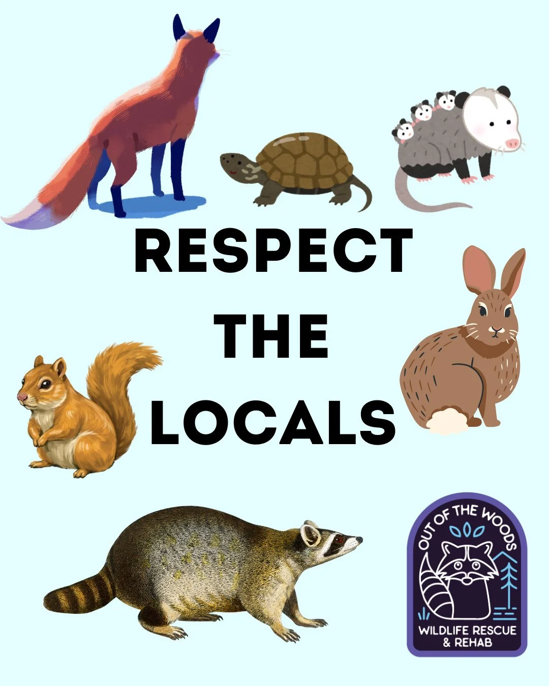 A short and sweet message to #respectthelocals! Let us know how you actively strive to coexist and avoid conflict with your local wildlife! #wildliferescue #outofthewoodswildlife #tennessee #westtennessee #wildlifeeducation #coexist