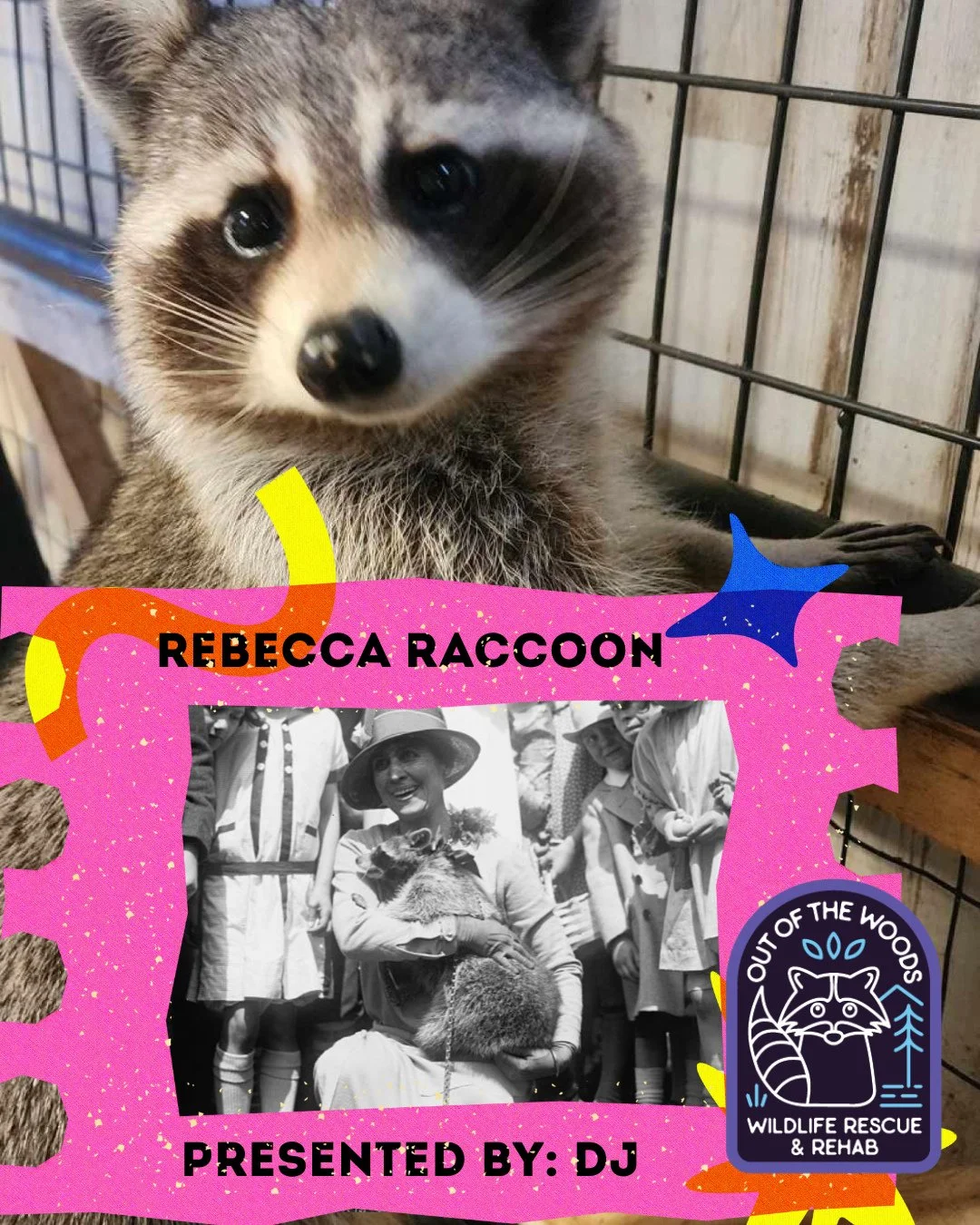 HAPPY PRESIDENT&rsquo;S DAY! DJ has been working on his presidential poster presentation about Rebecca the raccoon! In 1926, a raccoon was sent to the White House from Mississippi with the understanding that she would be served for Thanksgiving dinne