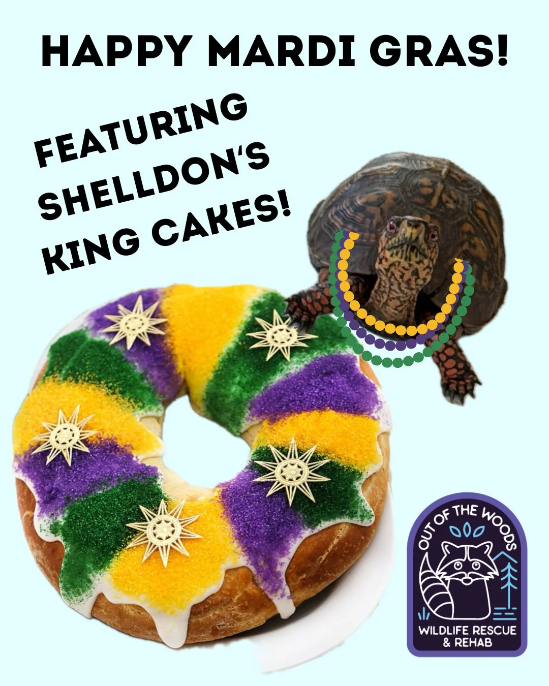 HAPPY MARDI GRAS! It&rsquo;s Fat Tuesday and we&rsquo;re celebrating with one of Shelldon&rsquo;s king cakes! 🤣 How are you celebrating? #mardigras #tennessee #westtennessee #outofthewoodswildlife #fattuesday #shelldon #turtle #nonreleasable #educat