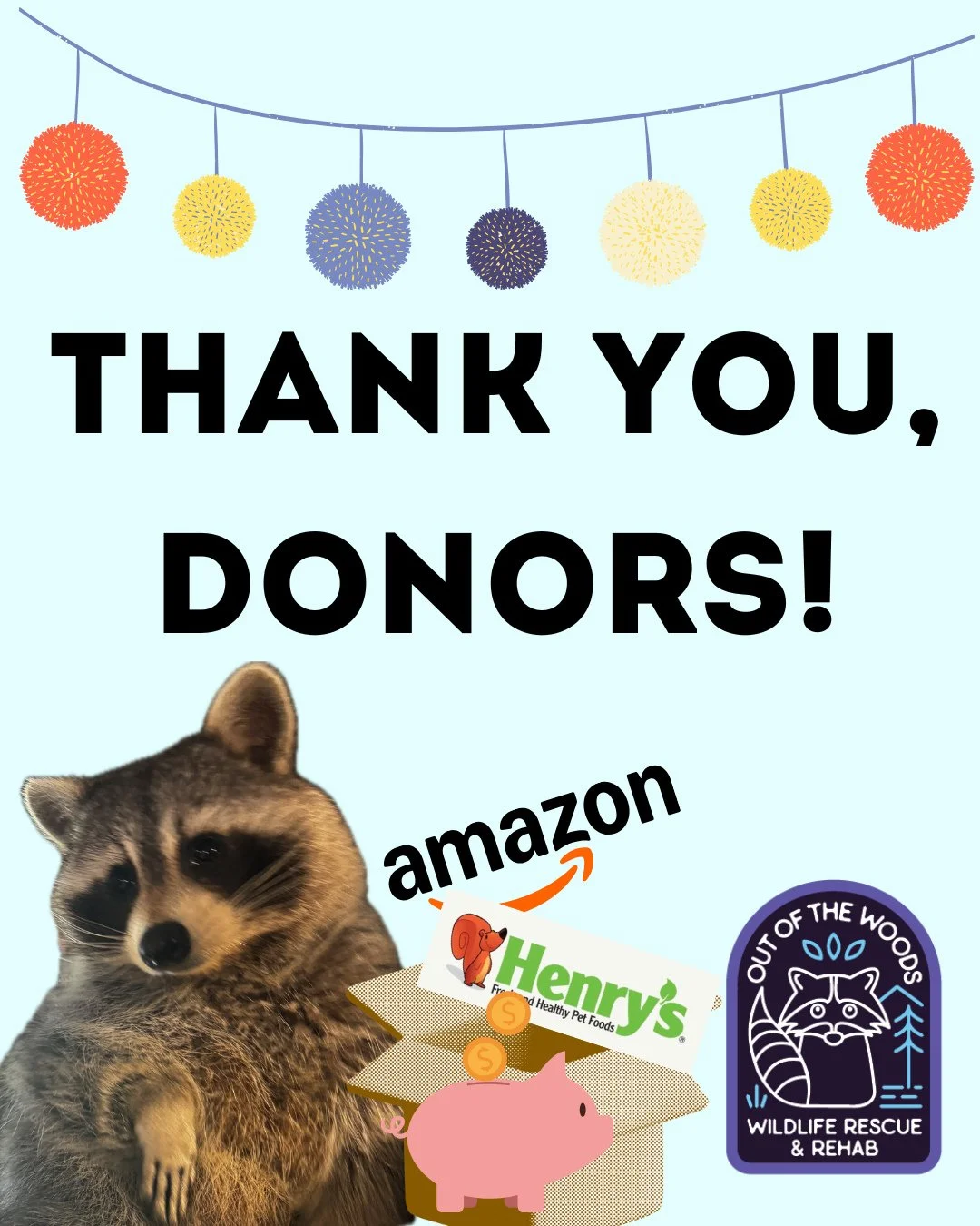 DONOR APPRECIATION! We want to extend a massive thank you to our donors and supporters who have purchased items from our Amazon wishlist, purchased items from our Henry&rsquo;s registry, and have made financial contributions. Everything is so incredi
