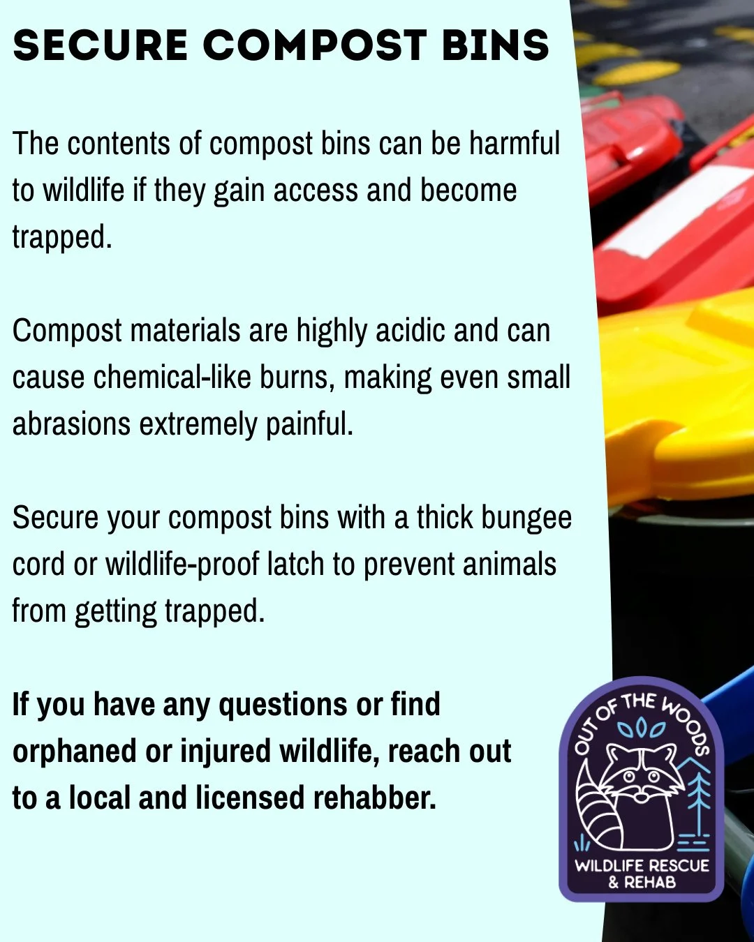 Protect wildlife by securing your compost bins!
The contents of compost bins can be harmful
to wildlife if they gain access and become
trapped. Compost materials are highly acidic and can cause chemical-like burns, making even small abrasions extreme