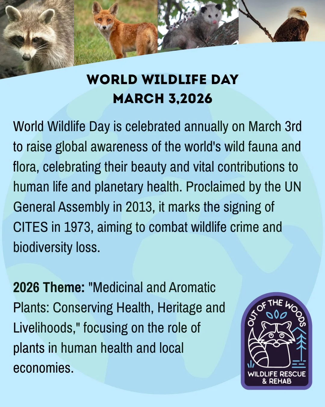 Happy World Wildlife Day! How are you going to celebrate?

World Wildlife Day is celebrated annually on March 3rd to raise global awareness of the world's wild fauna and flora, celebrating their beauty and vital contributions to human life and planet