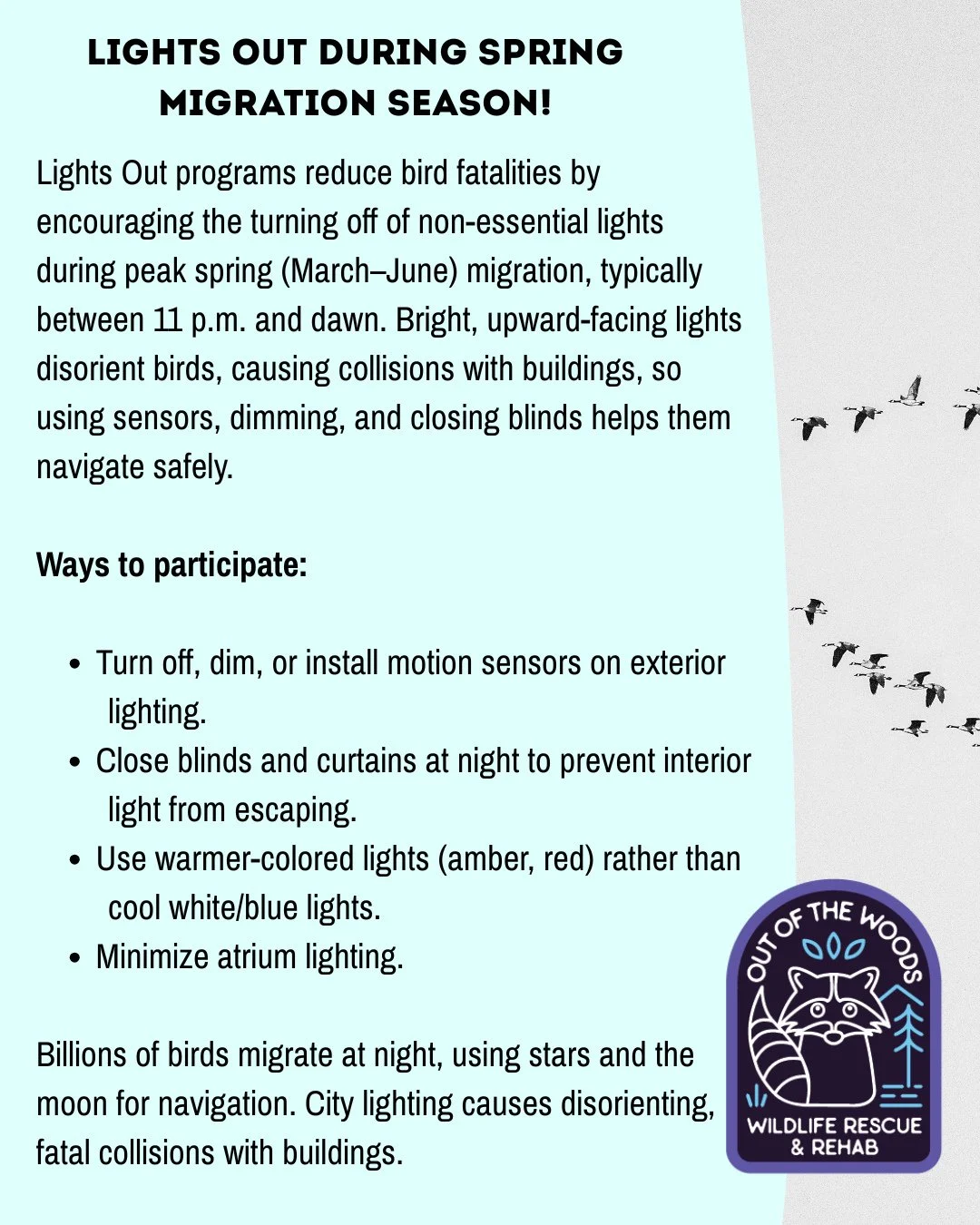 Let&rsquo;s help our feathered friends during migration season! Lights Out programs reduce bird fatalities by encouraging the turning off of non-essential lights during peak spring (March-June) migration, typically between 11 p.m. and dawn. Bright, u