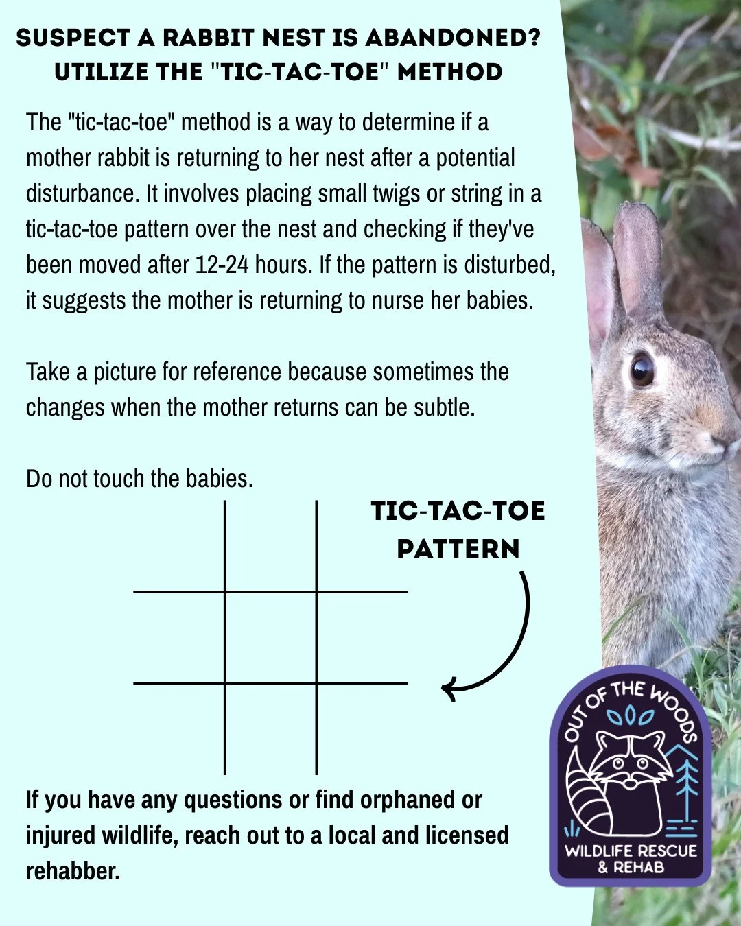 The "tic-tac-toe" method is a way to determine if a mother rabbit is returning to her nest after a potential disturbance. It involves placing small twigs or string in a tic-tac-toe pattern over the nest and checking if they've been moved af