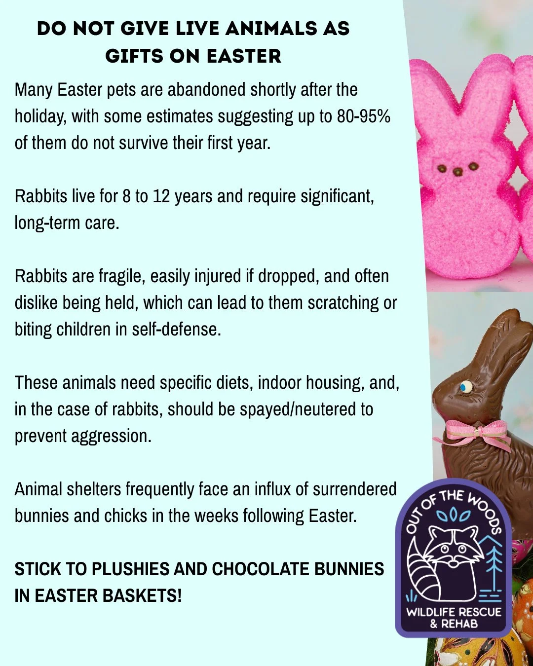 EASTER PSA 📢 Do not give live animals as gifts! Many Easter pets are abandoned shortly after the holiday, with some estimates suggesting up to 80-95% of them do not survive their first year. Rabbits live for 8 to 12 years and require significant, lo