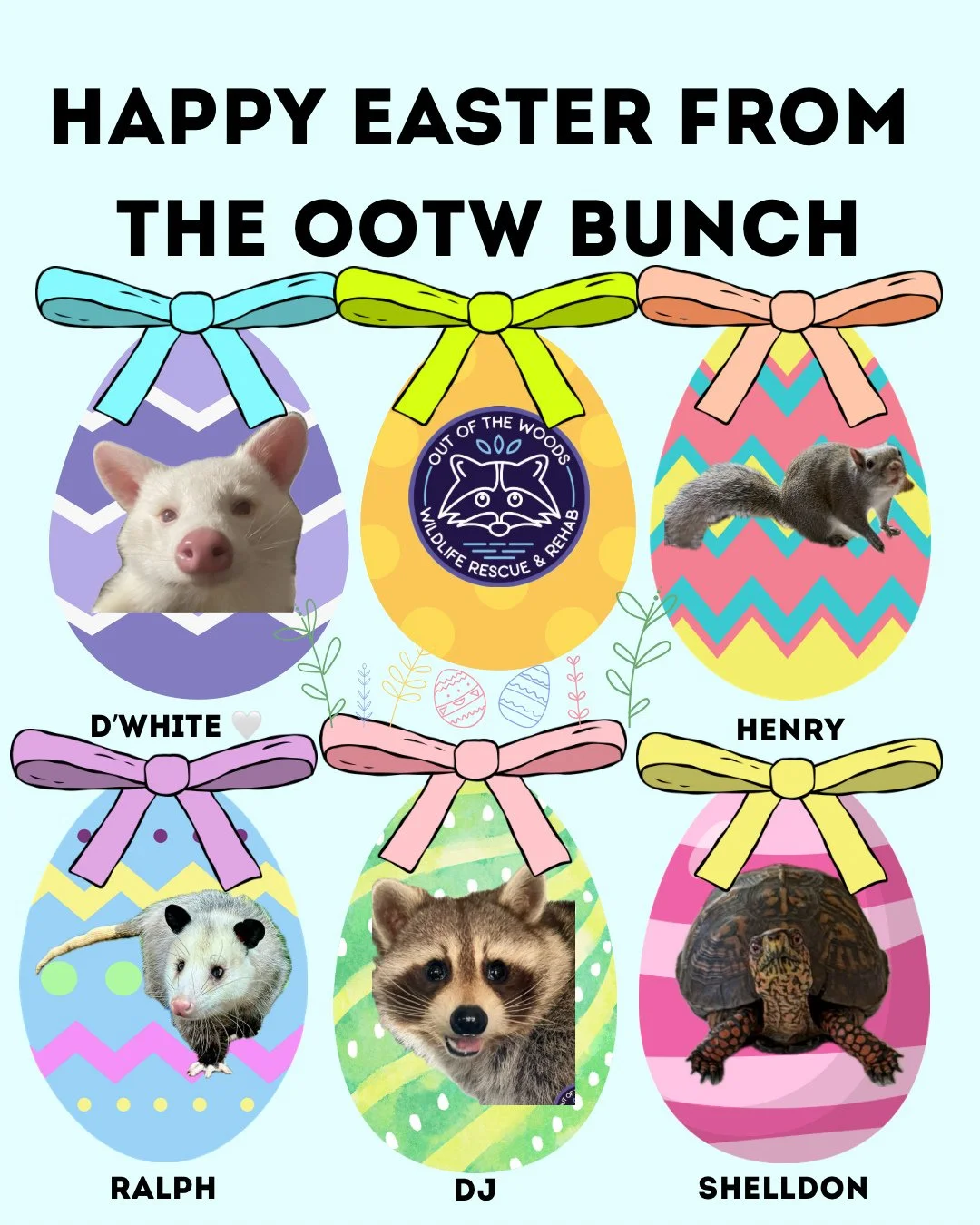 HAPPY EASTER FROM THE OOTW BUNCH! Enjoy some Easter eggs with our educational ambassadors . . . Including the late and great D&rsquo;White! Which one are you choosing? #happyeaster #tennessee #westtennessee #outofthewoodswildlife #educationalambassad