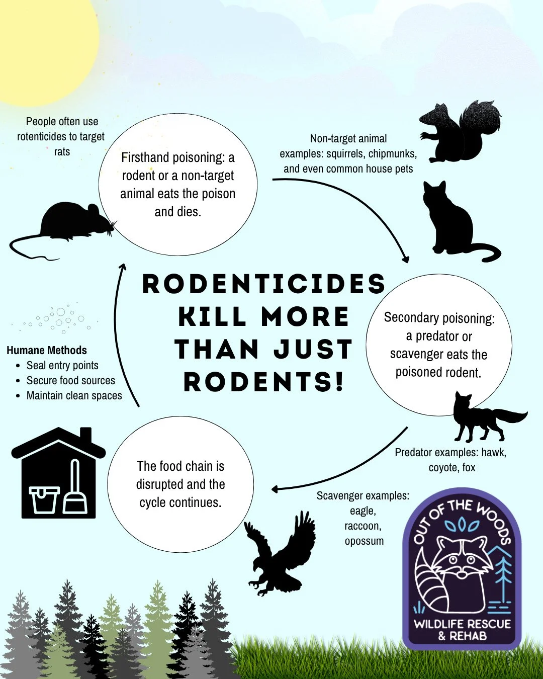 Rodenticides poison and kill more than just rodents and cause terrible suffering to any animal that ingests them through both firsthand poisoning and secondary poisoning.
1. Firsthand poisoning occurs when a rodent ingests the poison and dies. Non-ta