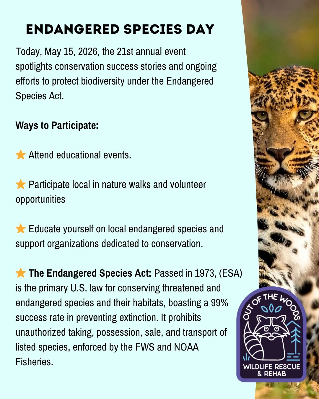 It&rsquo;s Endangered Species Day! How are you celebrating? Did you know that Tennessee hosts over 130 federally protected endangered or threatened species?
#endangeredspeciesday #tennessee #westtennessee #wildlifeeducation #outofthewoodswildlife