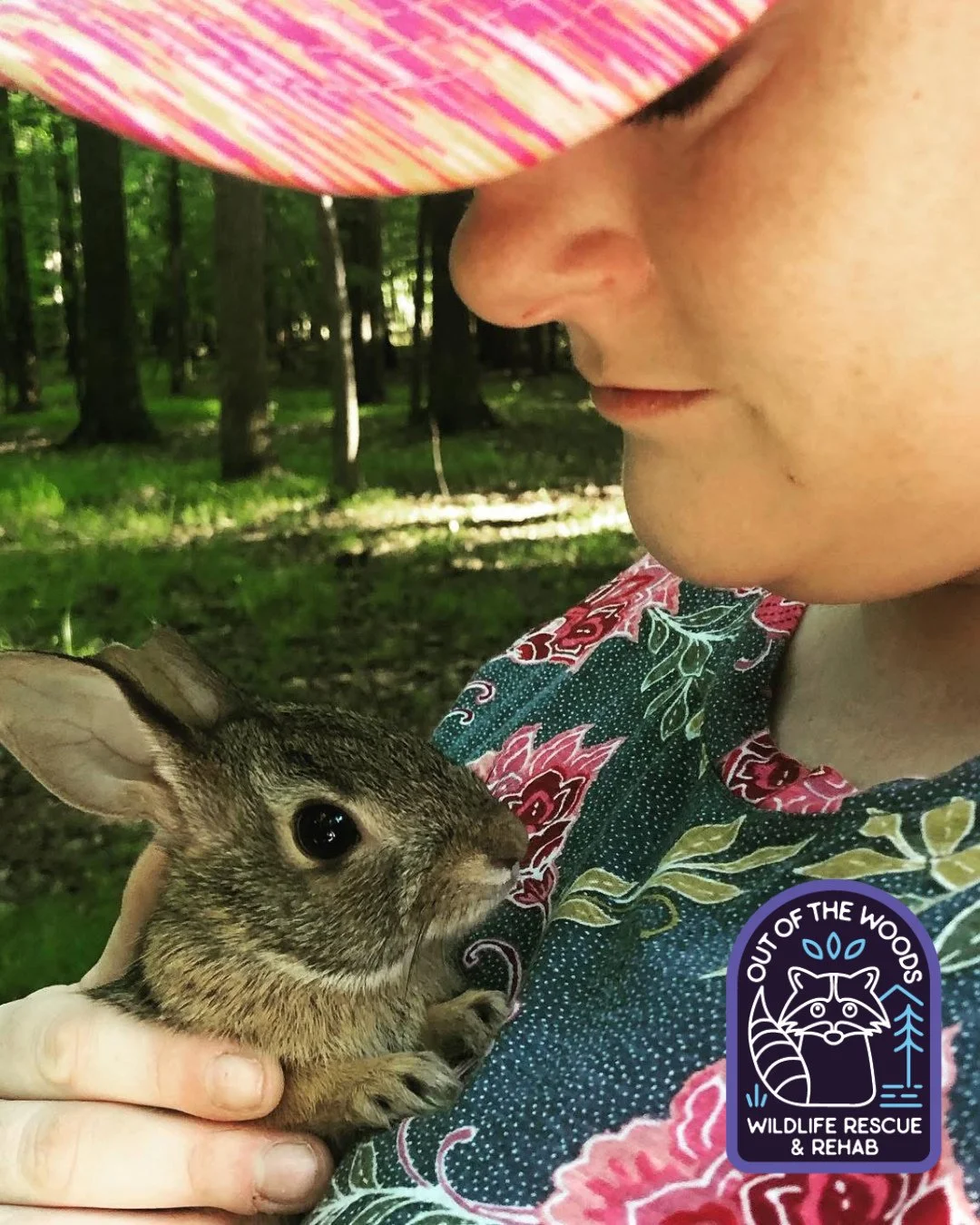 #FlashbackFriday to 5 years ago of Sarah&rsquo;s first release day with Nemo the cottontail! Since then she has cared for approximately 500 patients! THANK YOU, SARAH! #fbf #cottontail #releaseday #wildliferehab #tennessee #westtennessee #outofthewoo