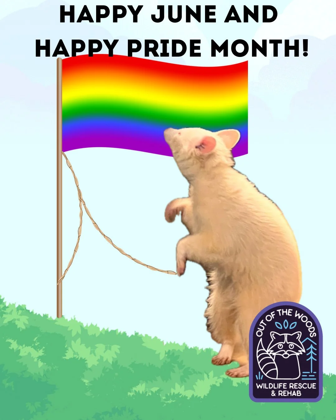June is Pride Month and we want to take a moment to say everyone is welcome at OOTW and we stand in support as allies with the LGBTQ community. Here we have angel ambassador, D&rsquo;White, raising a rainbow flag in solidarity. 
DID YOU KNOW? Same-se