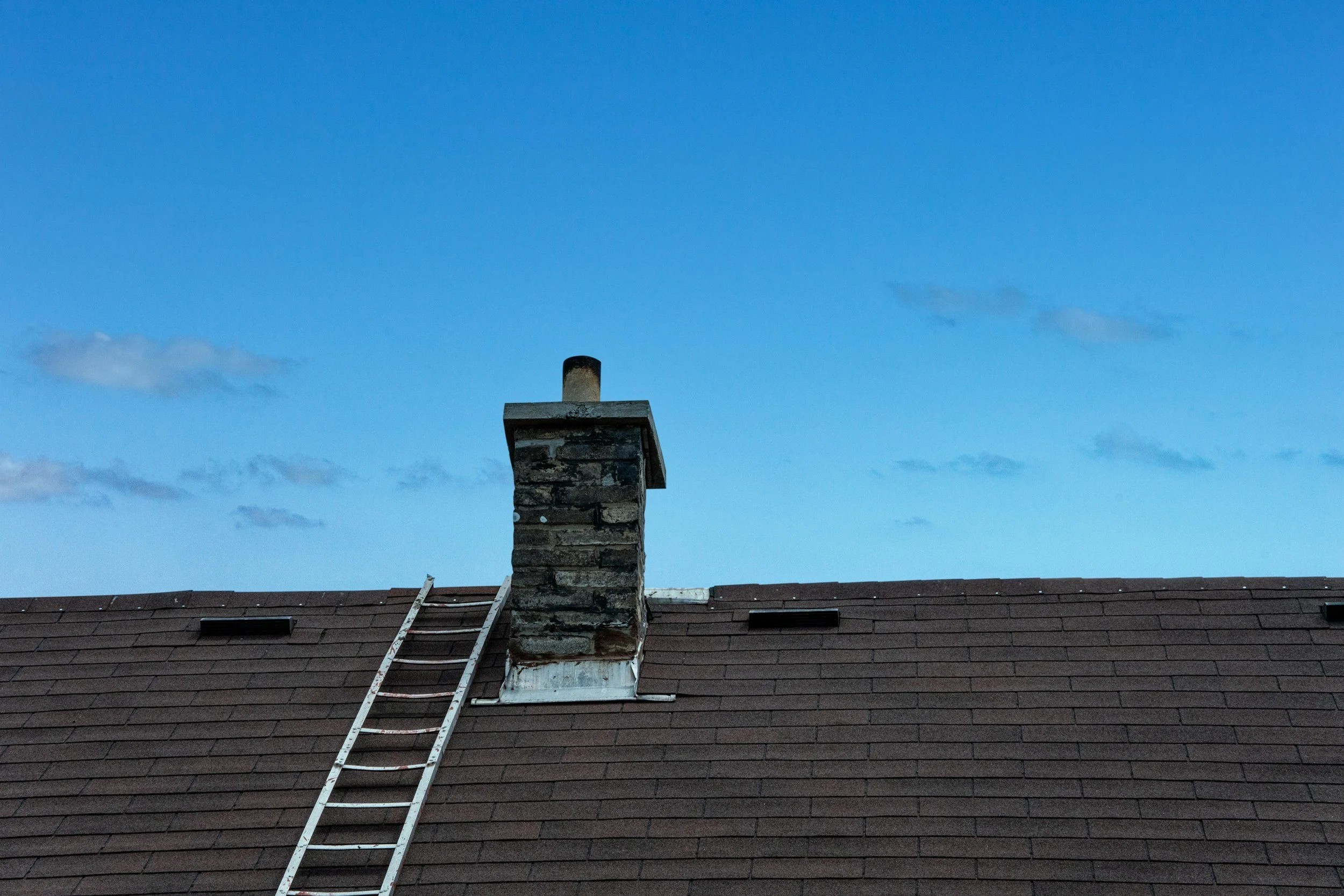 There’s a bird in my chimney. What do I do?