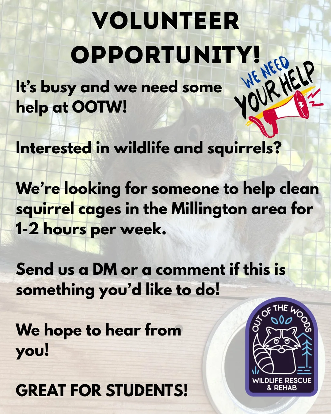 VOLUNTEER OPPORTUNITY! We&rsquo;re looking for someone that can commit to 1-2 hours per week to help us clean squirrel cages in the Millington area. If this is something you would like to do, send us a DM or comment on this post. This is great if you