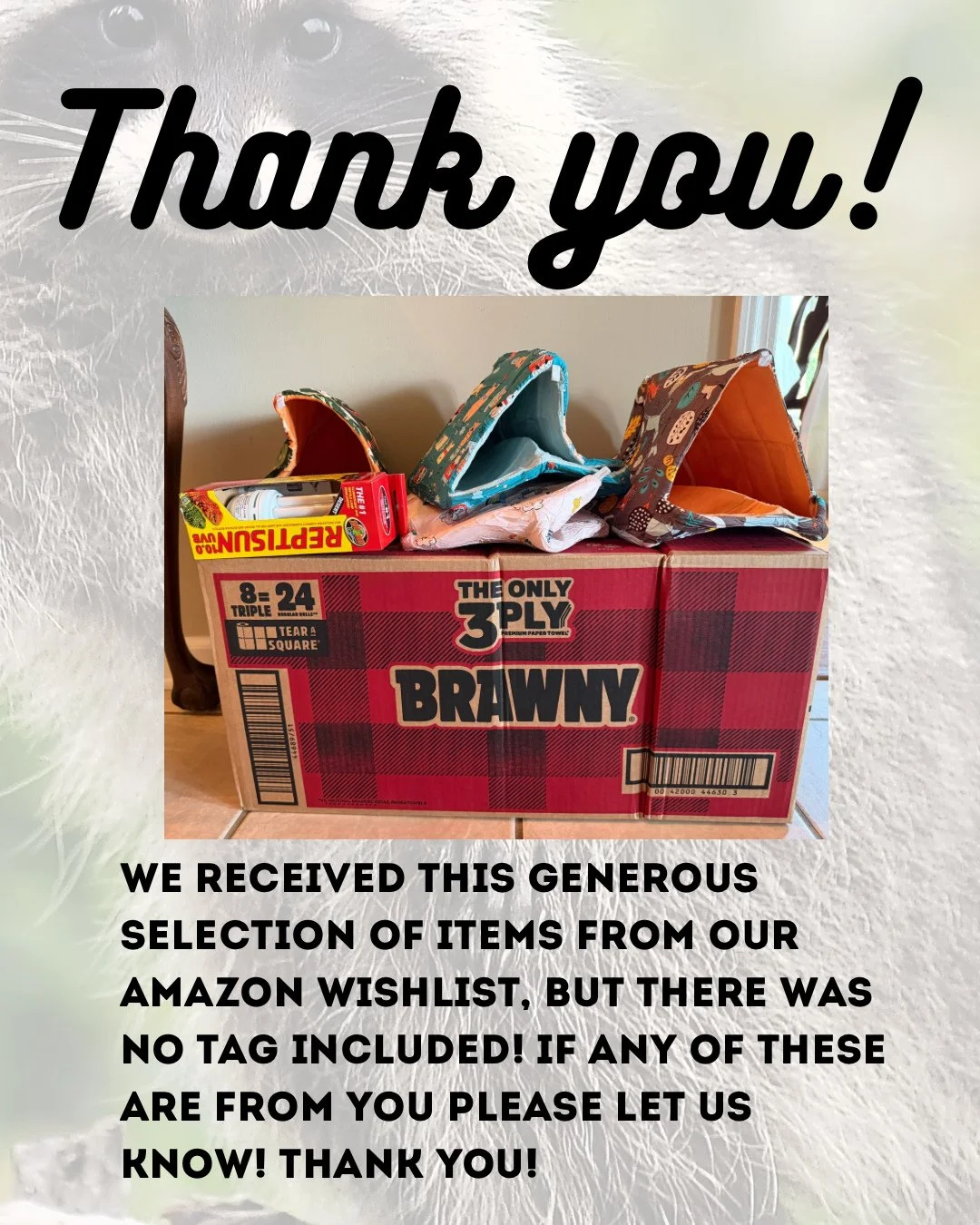 Thank you to the donor or donors that gifted us this selection of items from our Amazon wishlist! There was no tag included . . . please let us know if any of these items are from you, so we can thank you directly! #thankyou #thankyoudonors #amazonwi