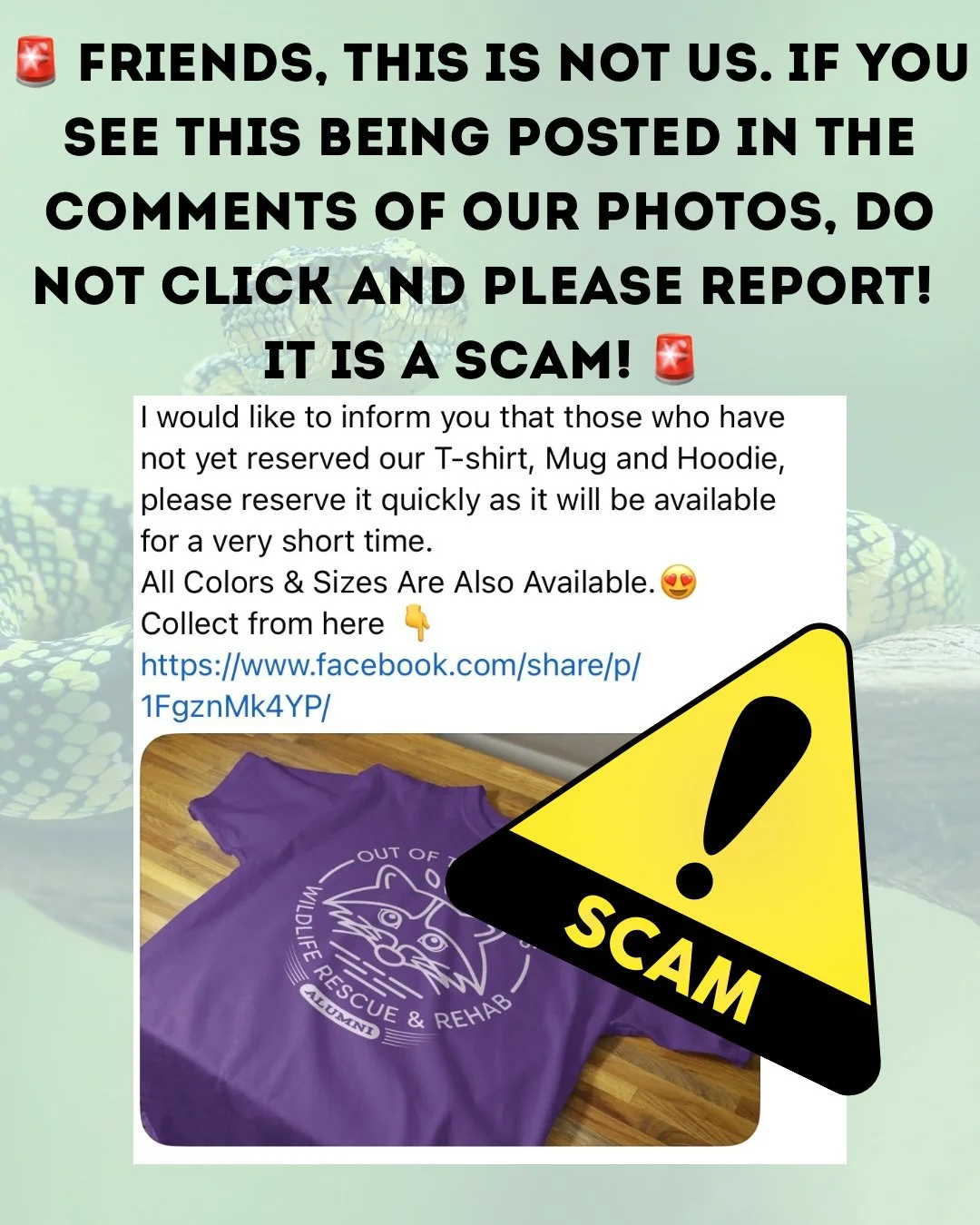 🚨 SCAM ALERT! 🚨 Friends, this has been posted in the comments on various pictures by various accounts and it is NOT US and not affiliated with OOTW. This is a scam, so DO NOT click any links and please report! 
The only place you will find official