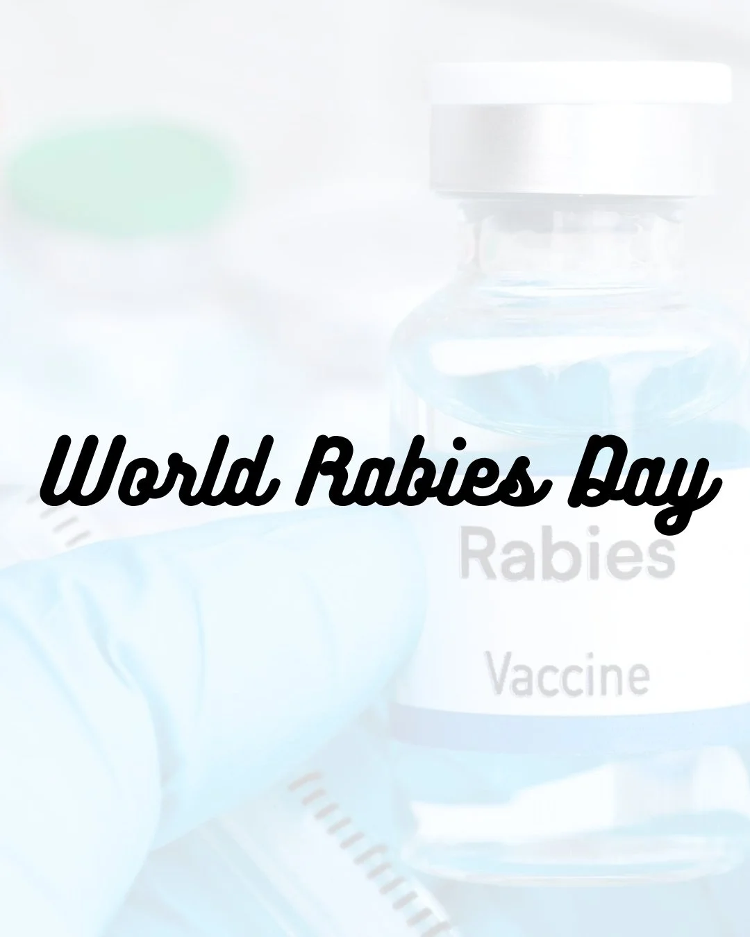 Today is World Rabies Day! Let&rsquo;s work together, raise awareness, and do our part! #worldrabiesday #wildlifeeducation #tennessee #rabies #louispasteur #strongertogether