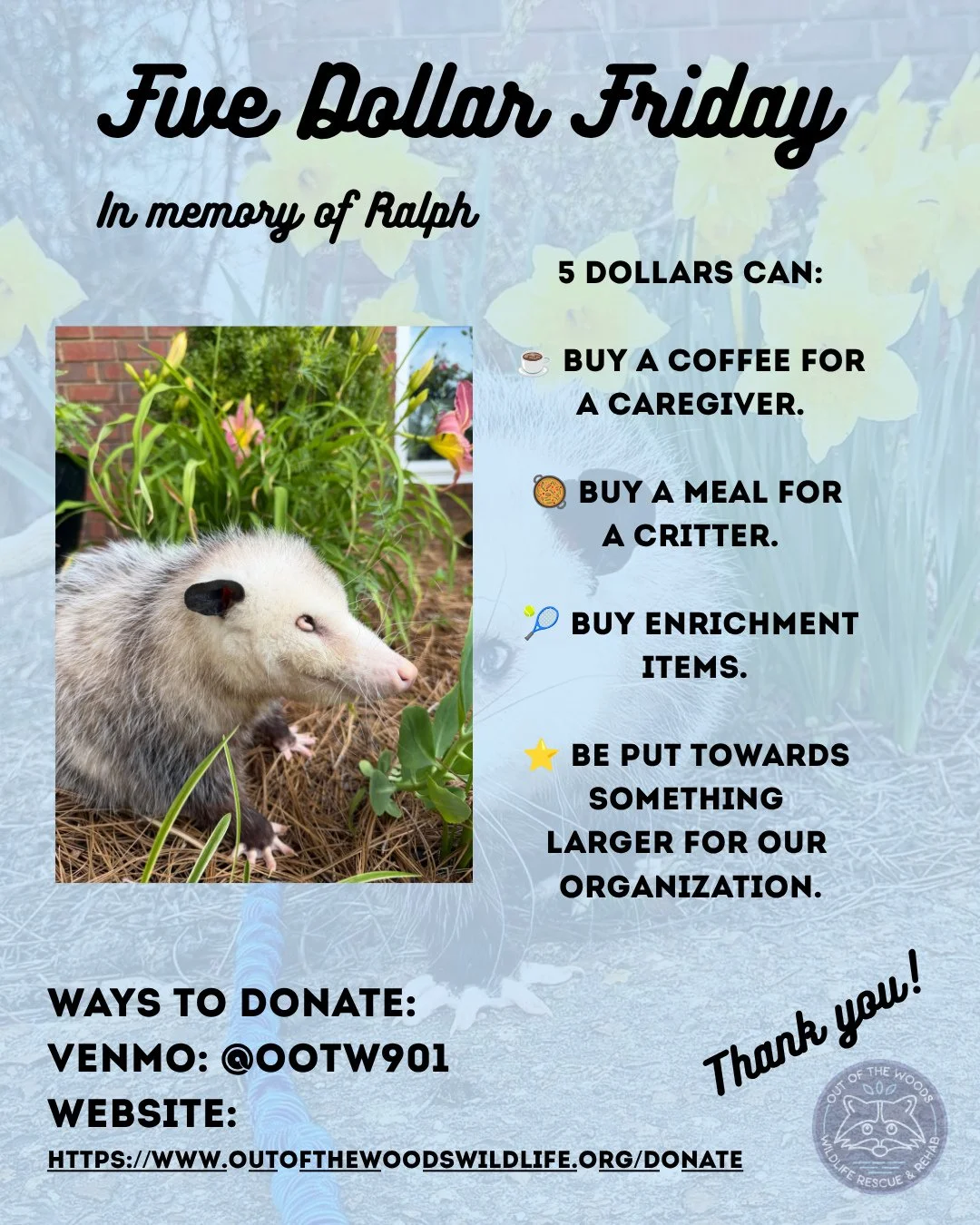 Today&rsquo;s Five Dollar Friday is in memory of Ralph, our 3.5 year old opossum education ambassador that just crossed the rainbow bridge. Your donation can help us help other opossums of West Tennessee that come into our care. Additionally, this ca
