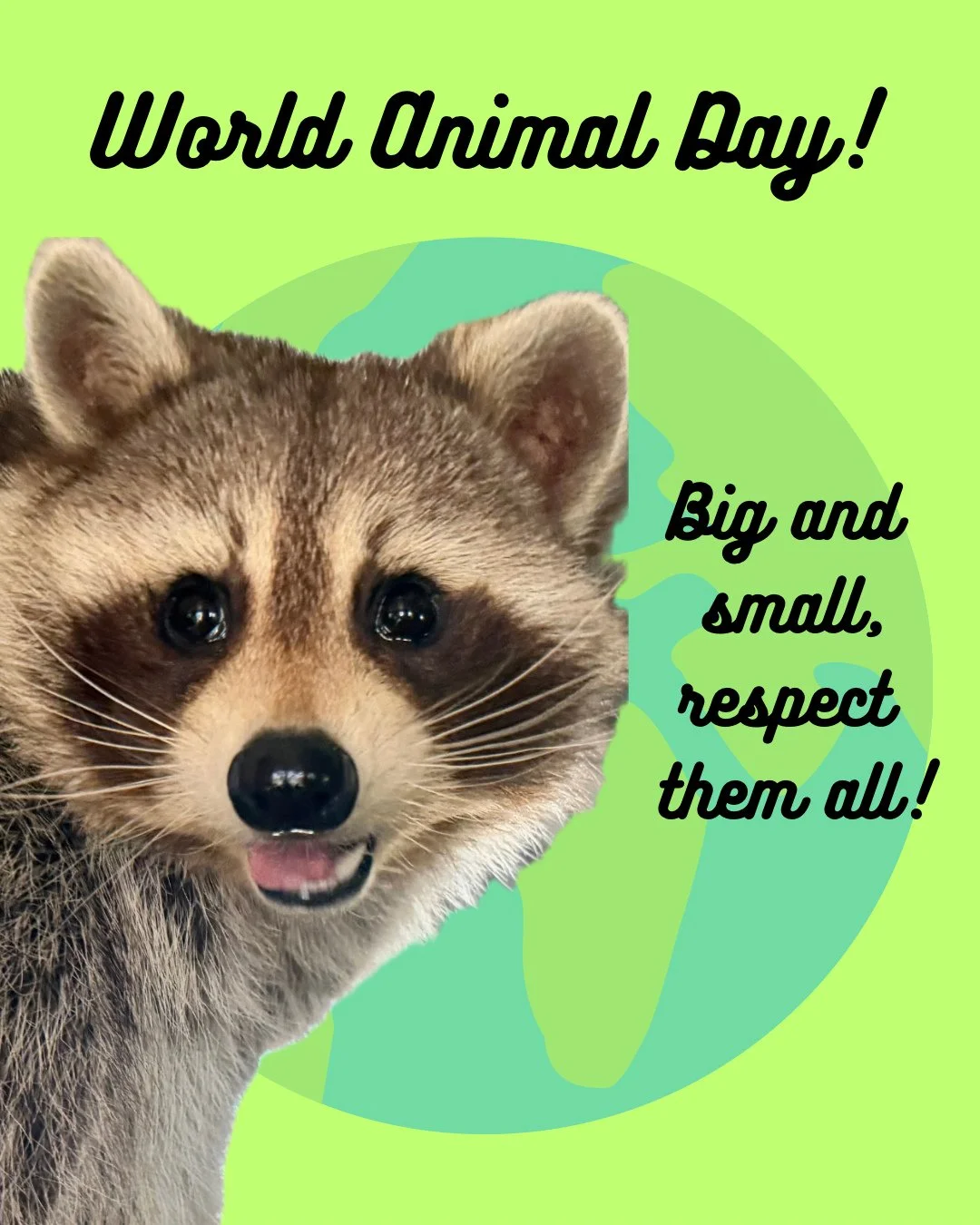 Happy World Animal Day! Big and small, respect them all! Do you have a favorite endearing critter? Let us know in the comments! #worldanimalday #wildlifeeducation #wildliferehab #rescueandrelease #tennessee