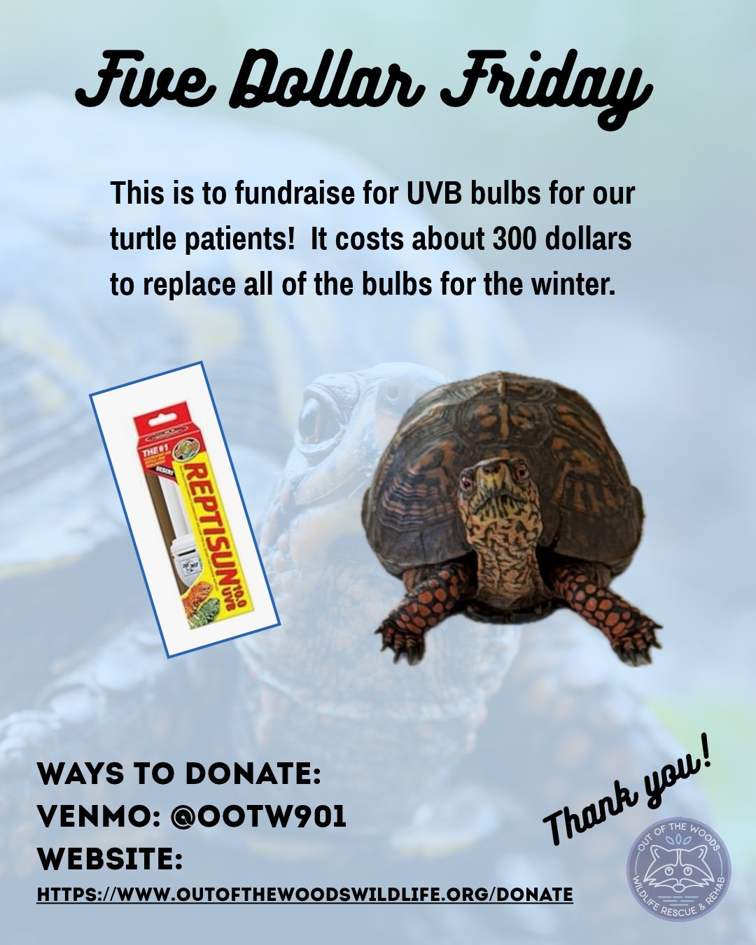Today&rsquo;s Five Dollar Friday is to fundraise for UVB bulbs for our turtle patients! As we prepare for the winter season, we will be changing all of their bulbs, which adds up to around 300 dollars. This small amount adds up and makes a big differ