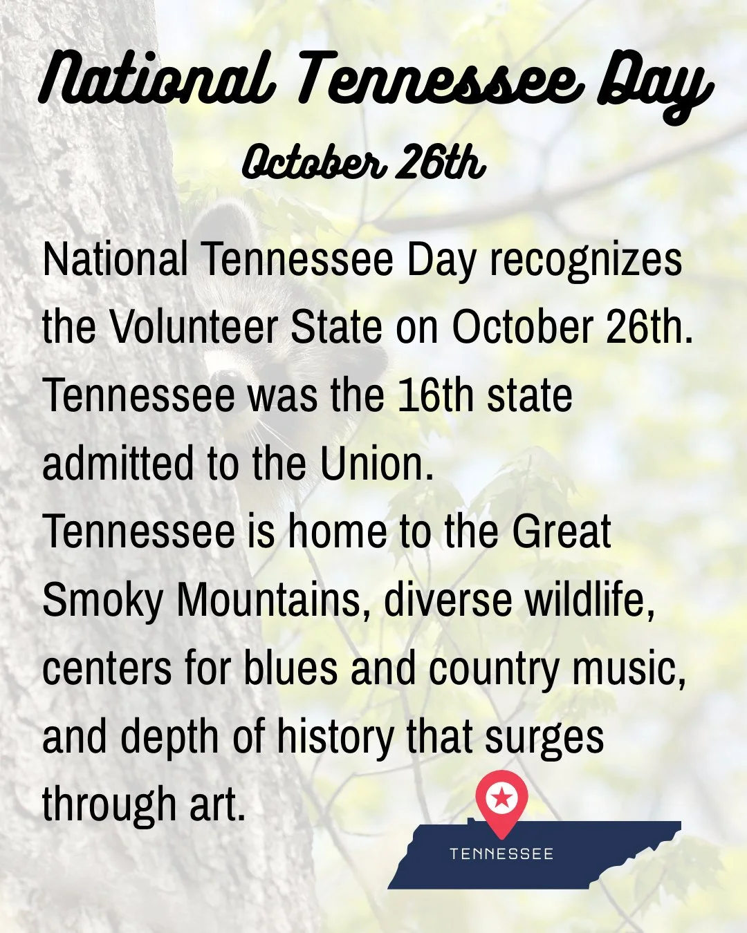 Happy National Tennessee Day! #nationaltennesseeday #wildlifeeducation #wildliferehab #outofthewoodswildlife #tennessee
