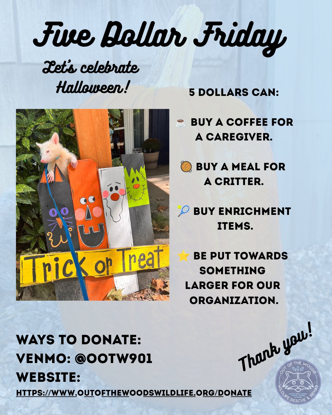 It&rsquo;s Five Dollar Friday! Let&rsquo;s celebrate Halloween! This small amount adds up and makes a big difference in the lives and rehabilitation journeys of our patients!

⭐️If you&rsquo;d like to make a donation, you can do so the following ways