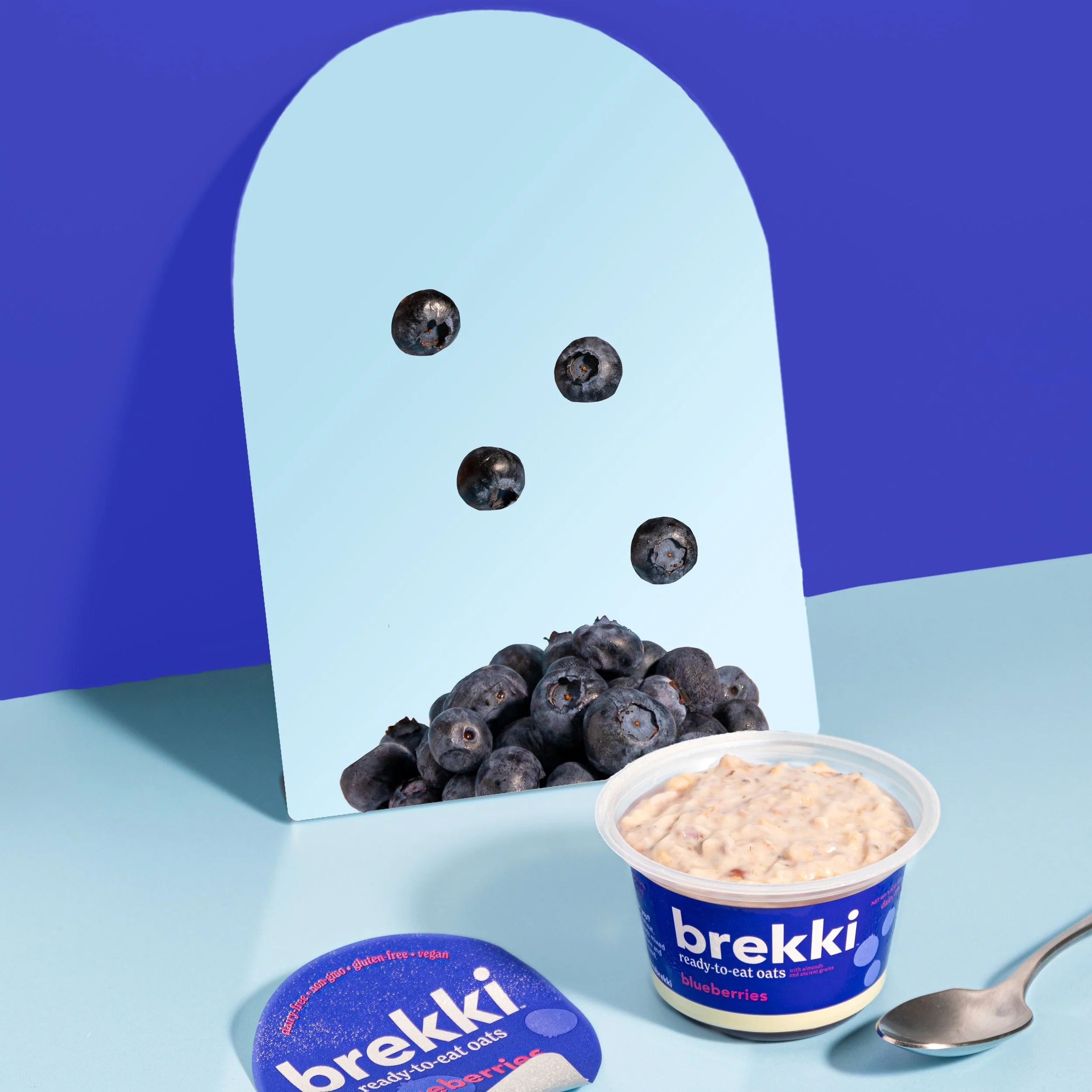 BrekkiReflekkiBlueberry_1.jpg