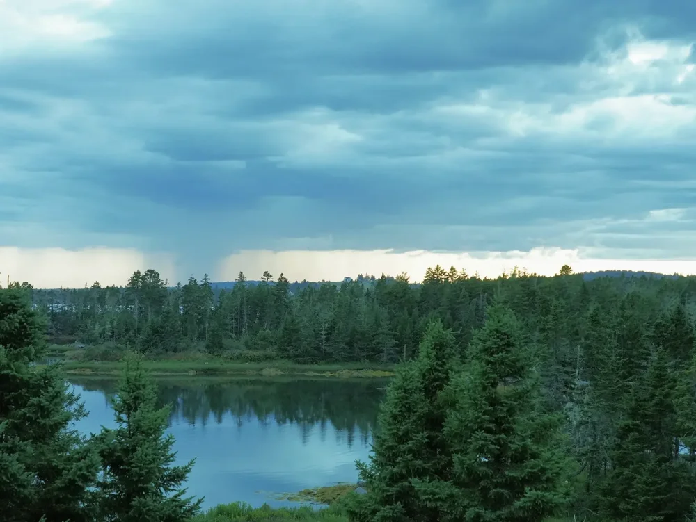 Rain comes from heaven.