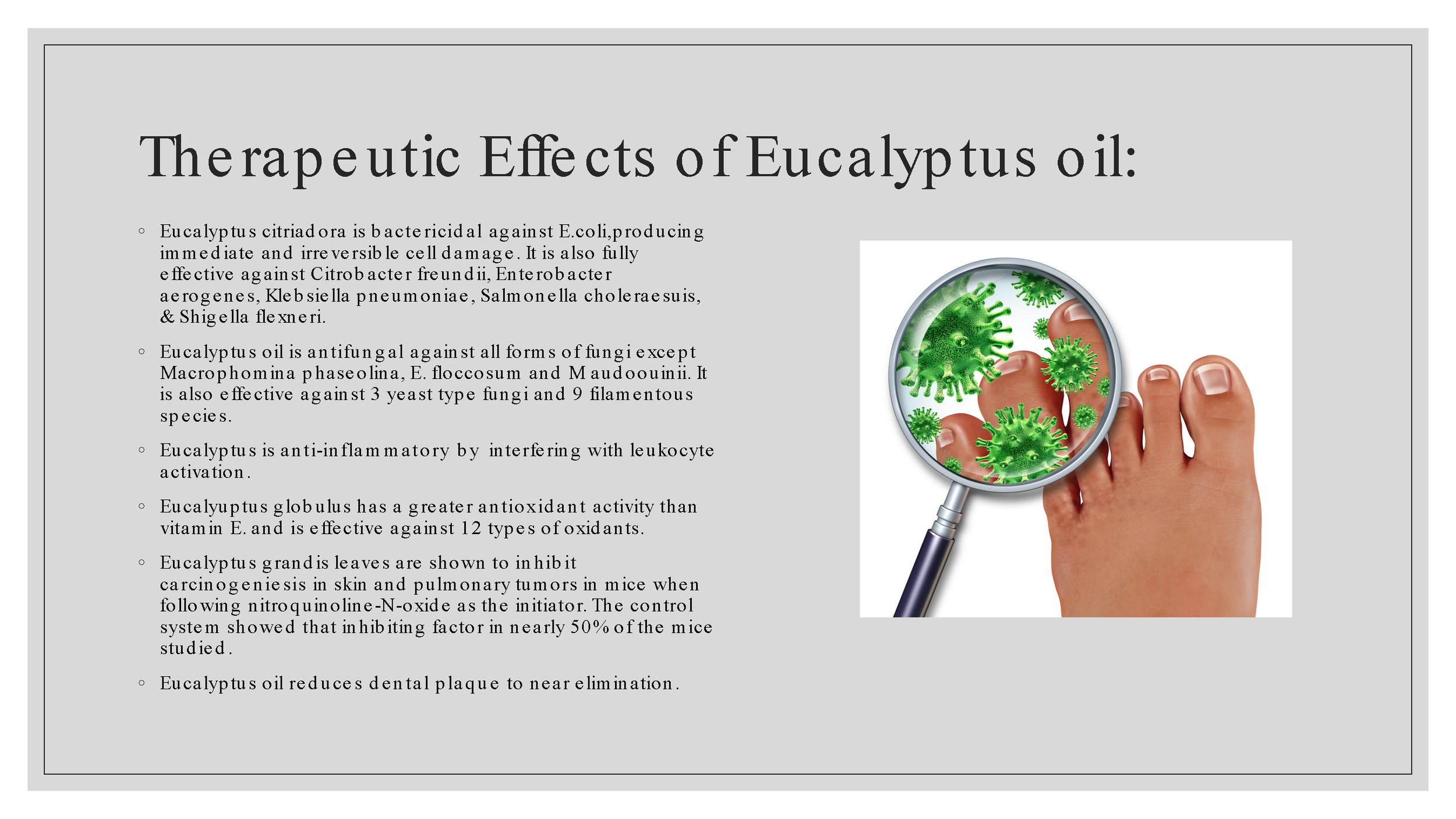 OIl o fthe month Eucalyptus_Page_3.png