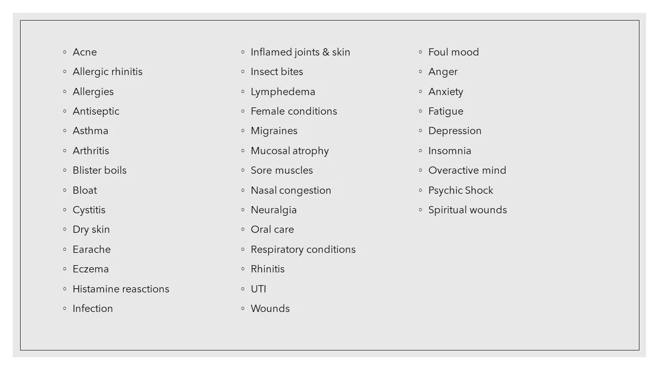 Slide11.JPG
