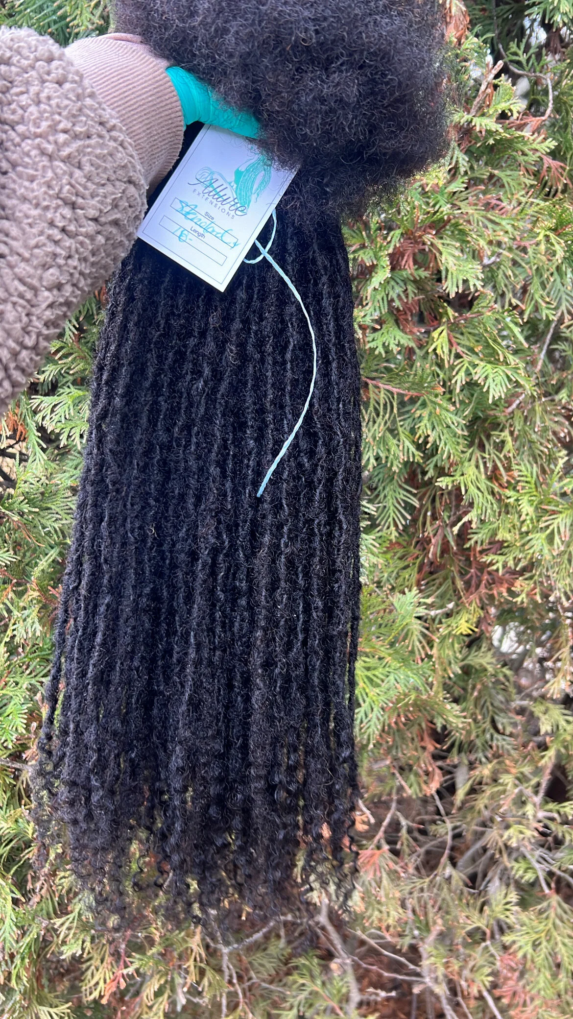 23FD88CE-C7DE-42DE-ADAB-FB7DAF0FD287