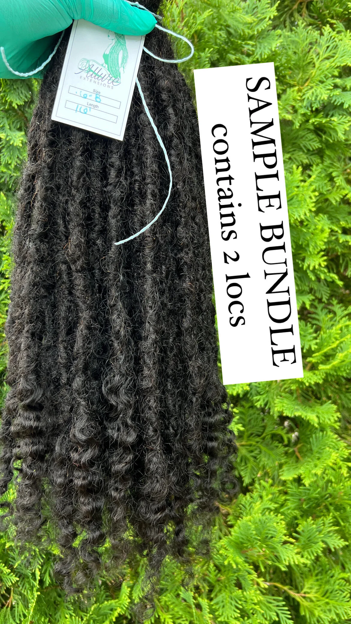 A8BA5775-F1F0-4FD6-89A5-13C713003CF1