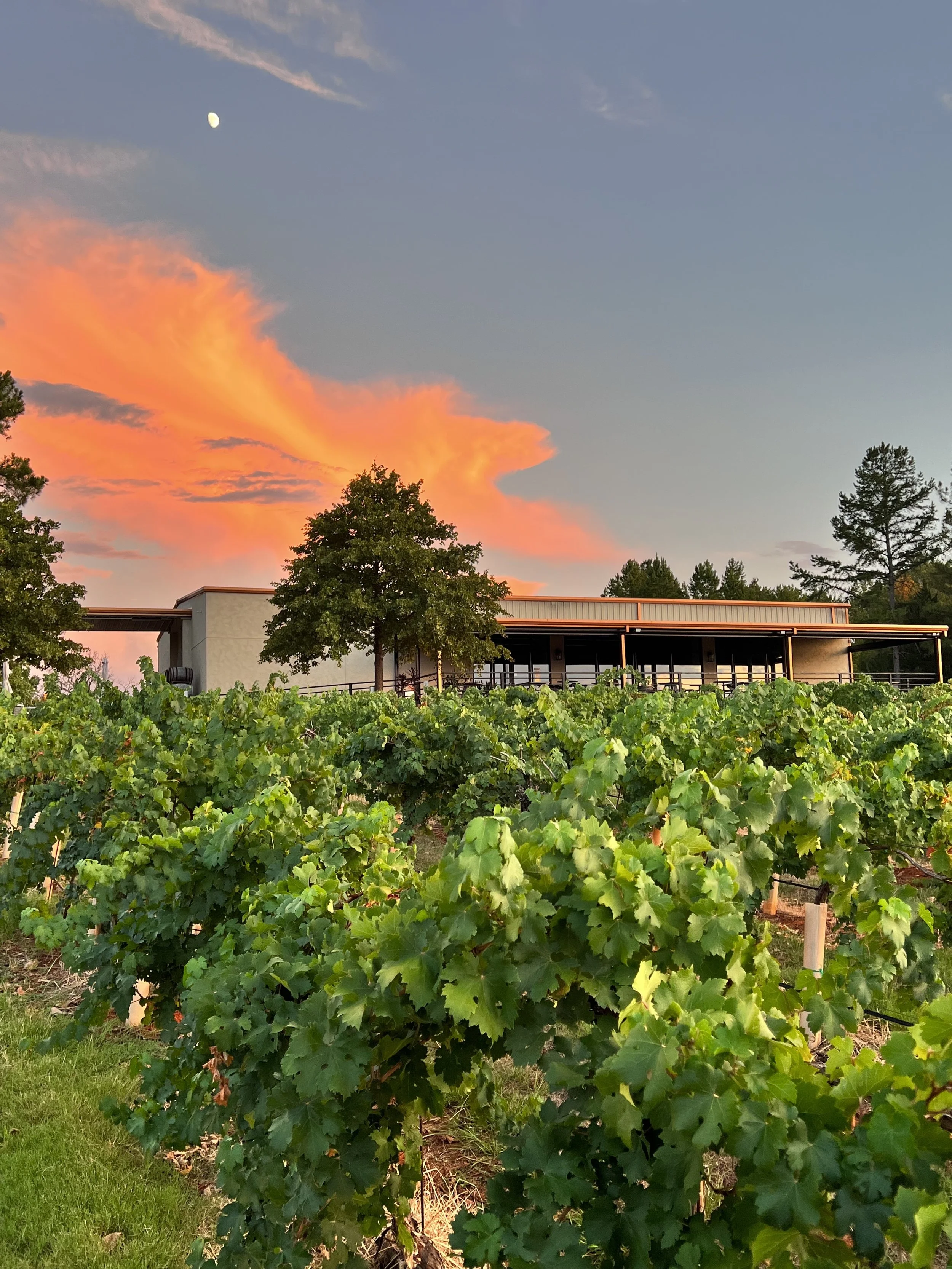 The Grand Room from the Vineyard