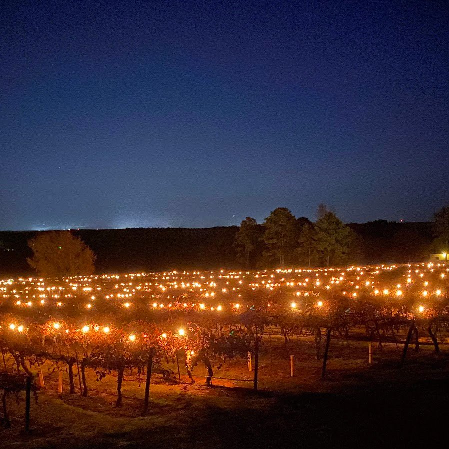 Vineyard at night with lit candles, dark sky