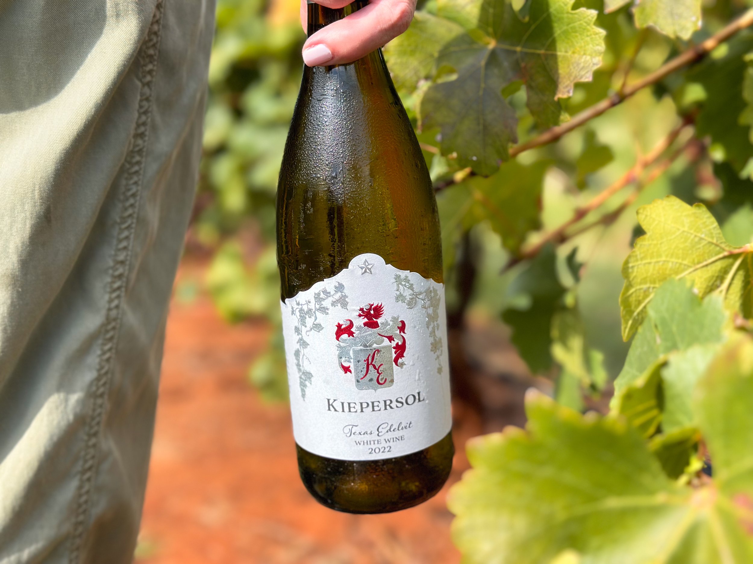 Person holding a bottle of Kiepersol Texas Elegit white wine in a vineyard.