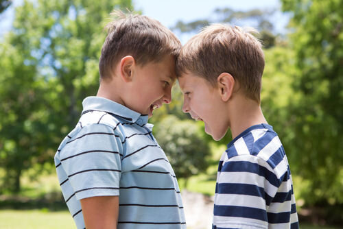 Dear Mary-anne: How can I stop fighting with my brothers and driving my parents insane?