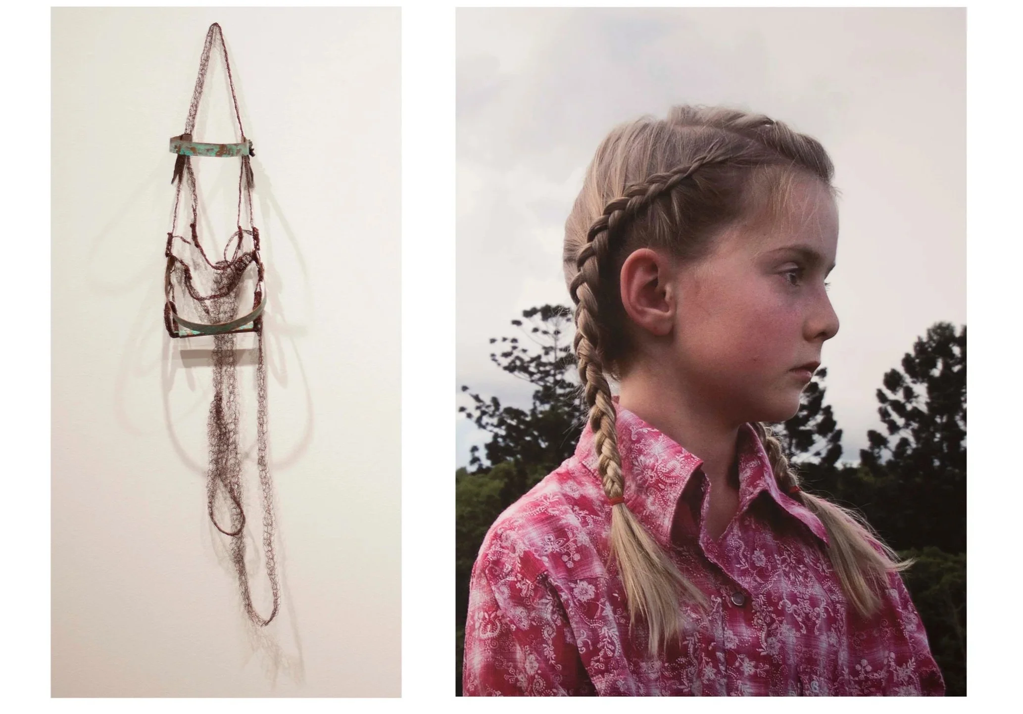 'Wild n free' 2015- 2017 
Digital image and bridle. Crotched copper wire, copper shim. Dimensions variable.