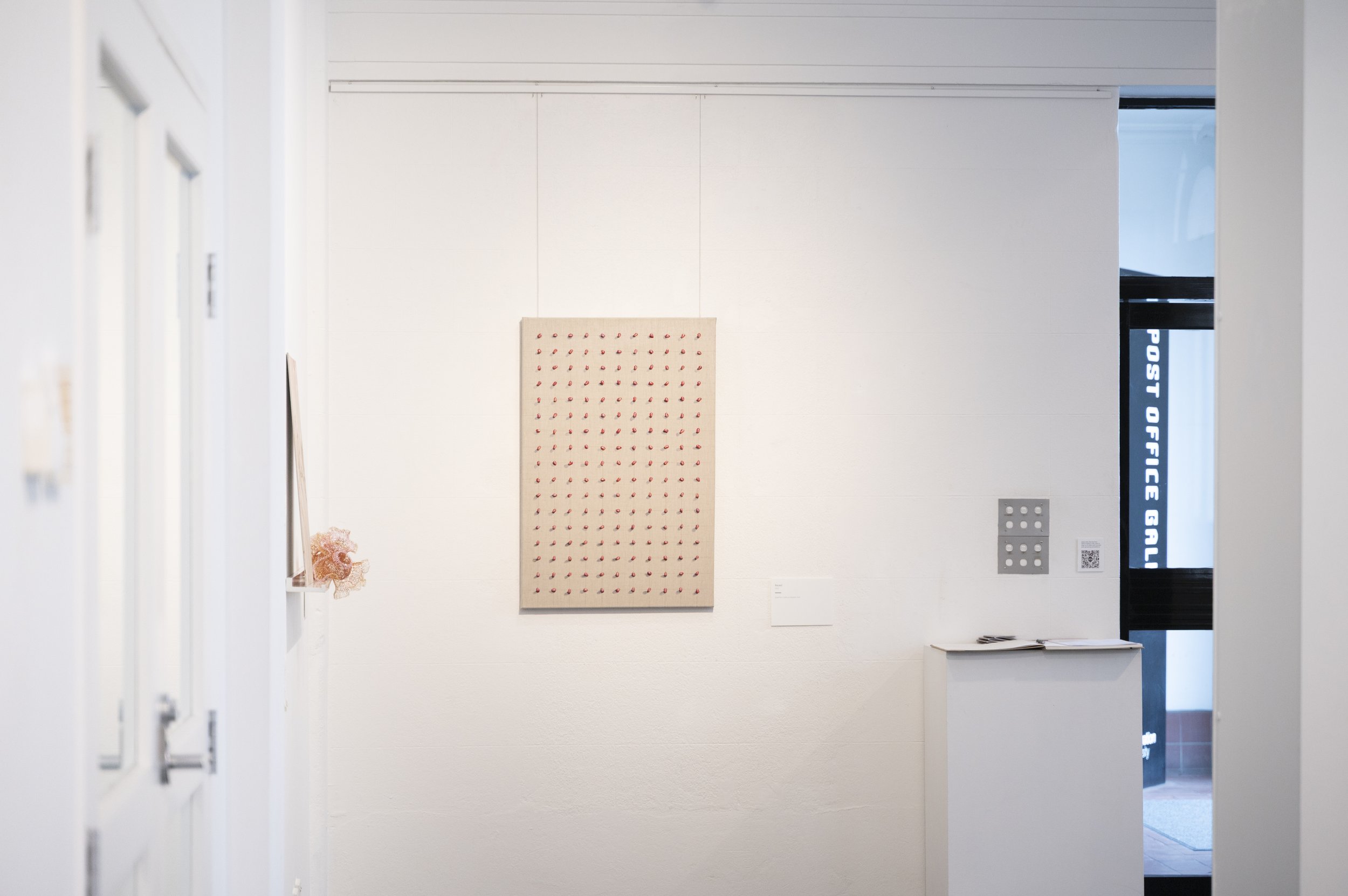 Meaghan Shelton_06.25_115.jpg