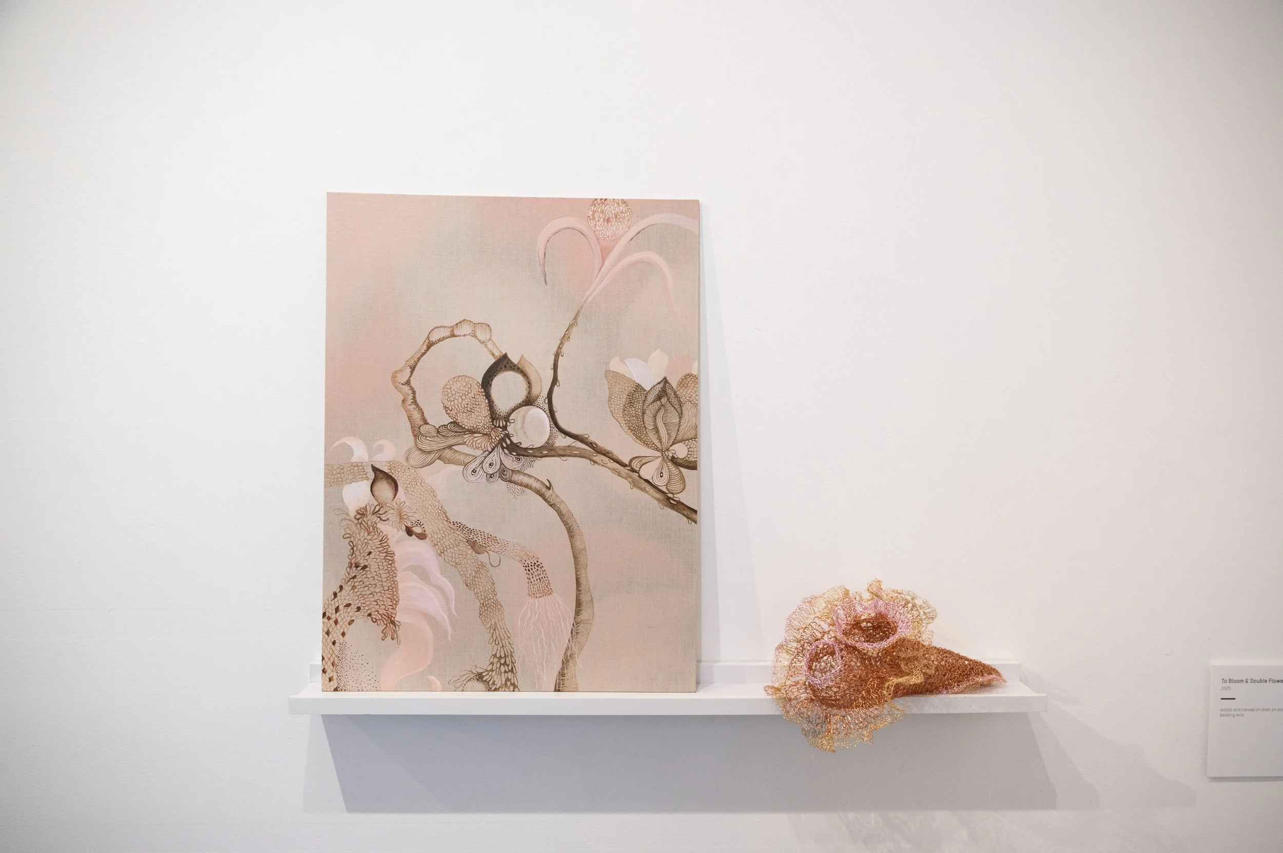 Meaghan Shelton_06.25_037.jpg