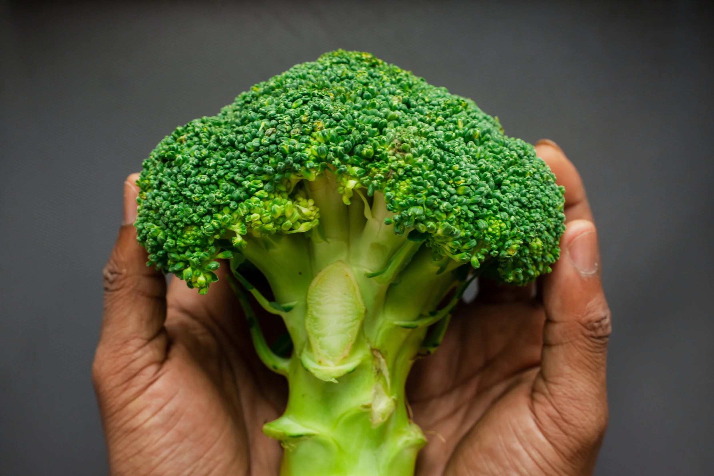 broccoli.jpg