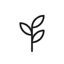 seedling128.png
