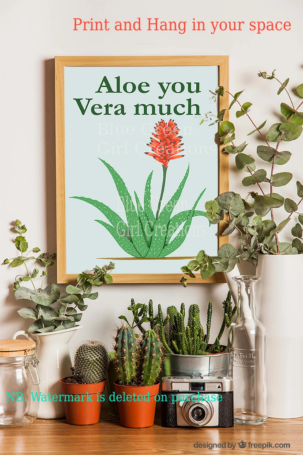 comprar aloe vera Buy Dawe's Aloe Phoenix, AZ | Aloe dawei