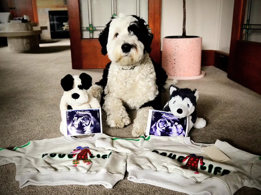 Double the Joy: Big News for Daniel!