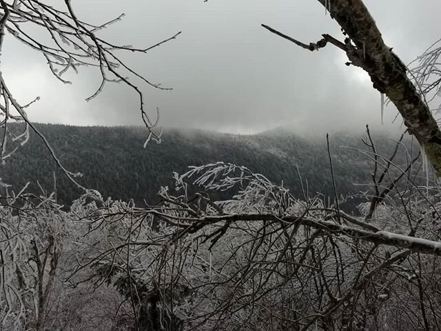 Six COC members climbed Slide and Cornell Mountains in the Catskills on a winter hike today!