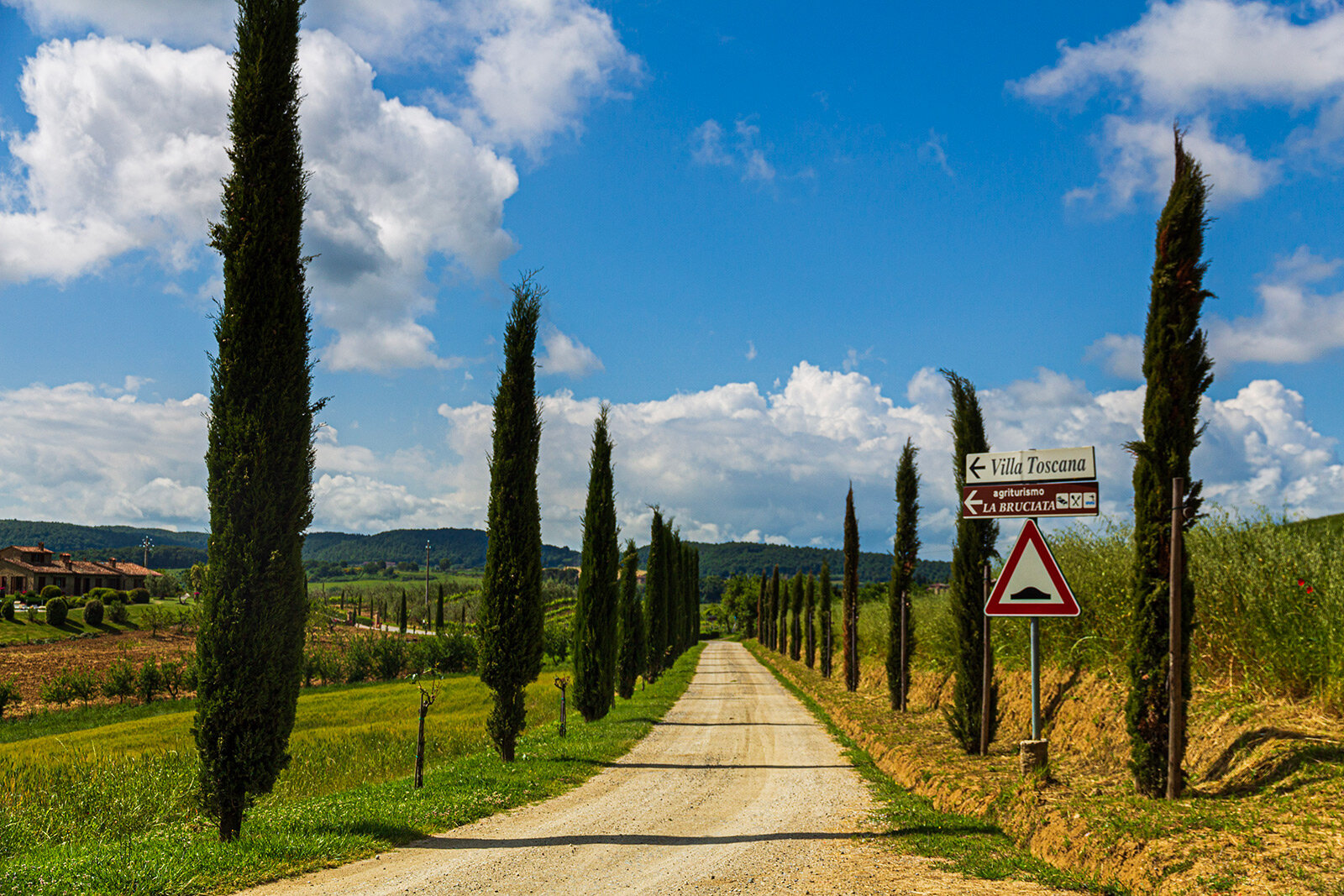 alchamey-adventures-BRUCIATA-DRIVEWAY.jpg
